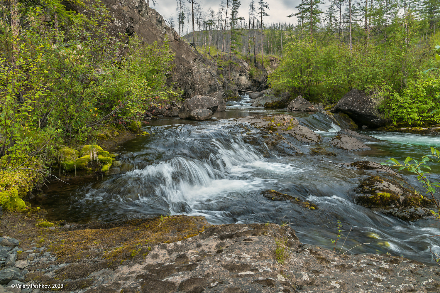 плато путорана, река курейка, ручей, водопад, вода, течение, перекаты, скалы, тайга, владимир коваль, Пешков Валерий