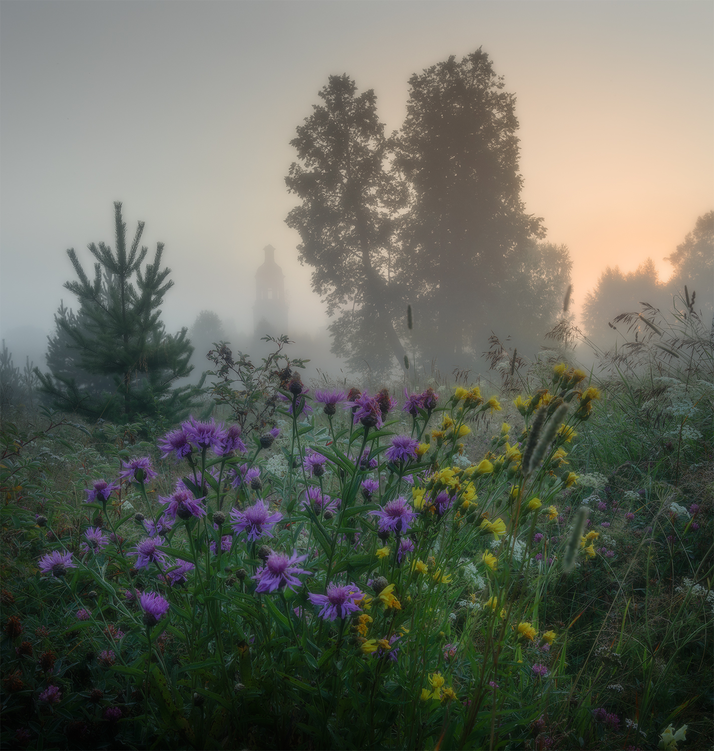 август, село, рассвет, туман, церковь, цветы, Сергей Буторин