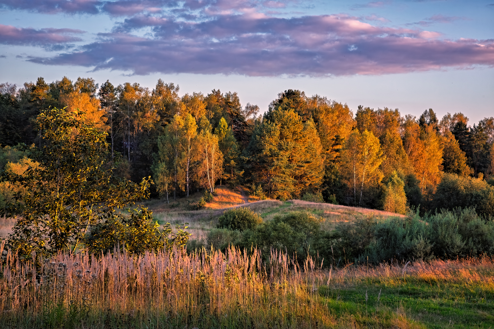 , Евгений Ерохин