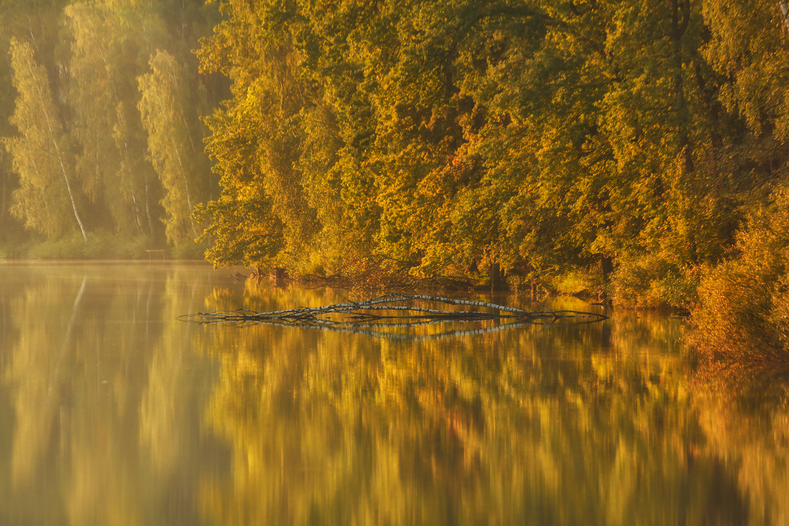пейзаж, осень, река, лес, природа, дикая природа, nature, landscape, canon, Пронин Денис