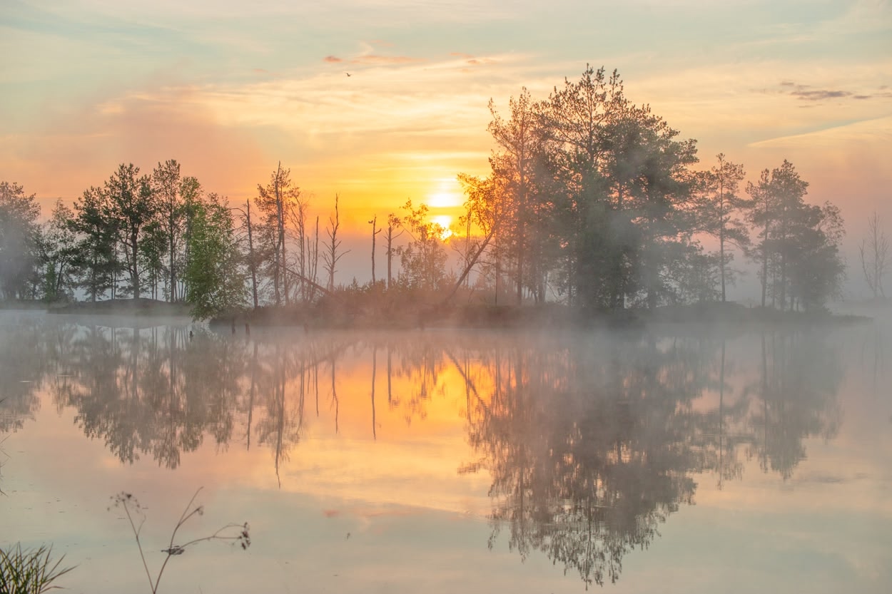 , Петр Косых