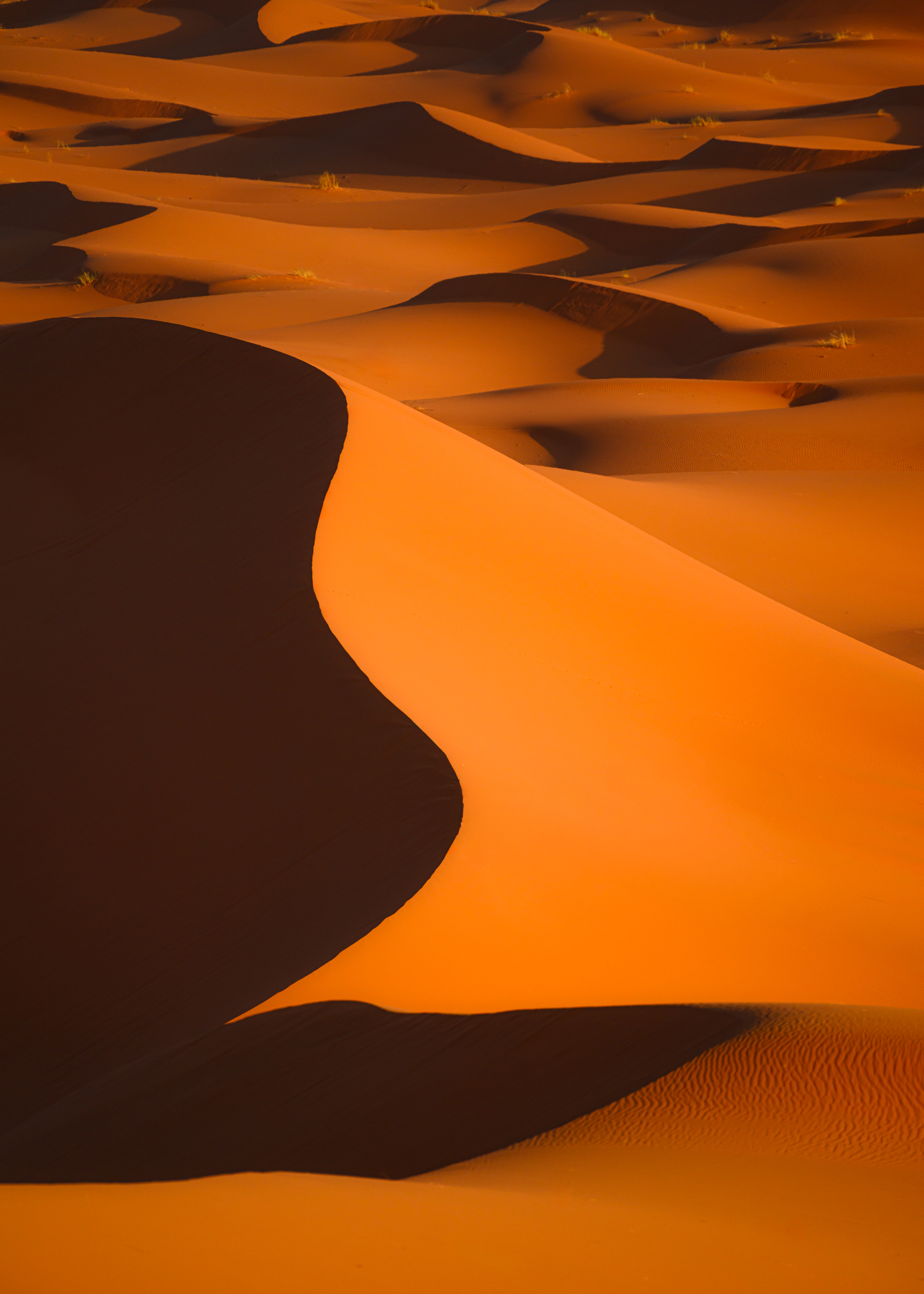 maroc, marocco, sahara desert, desert, sand, orange, light, марокко, пустыня, сахара, пейзаж, дюны, песок , Kaznov Stanislav