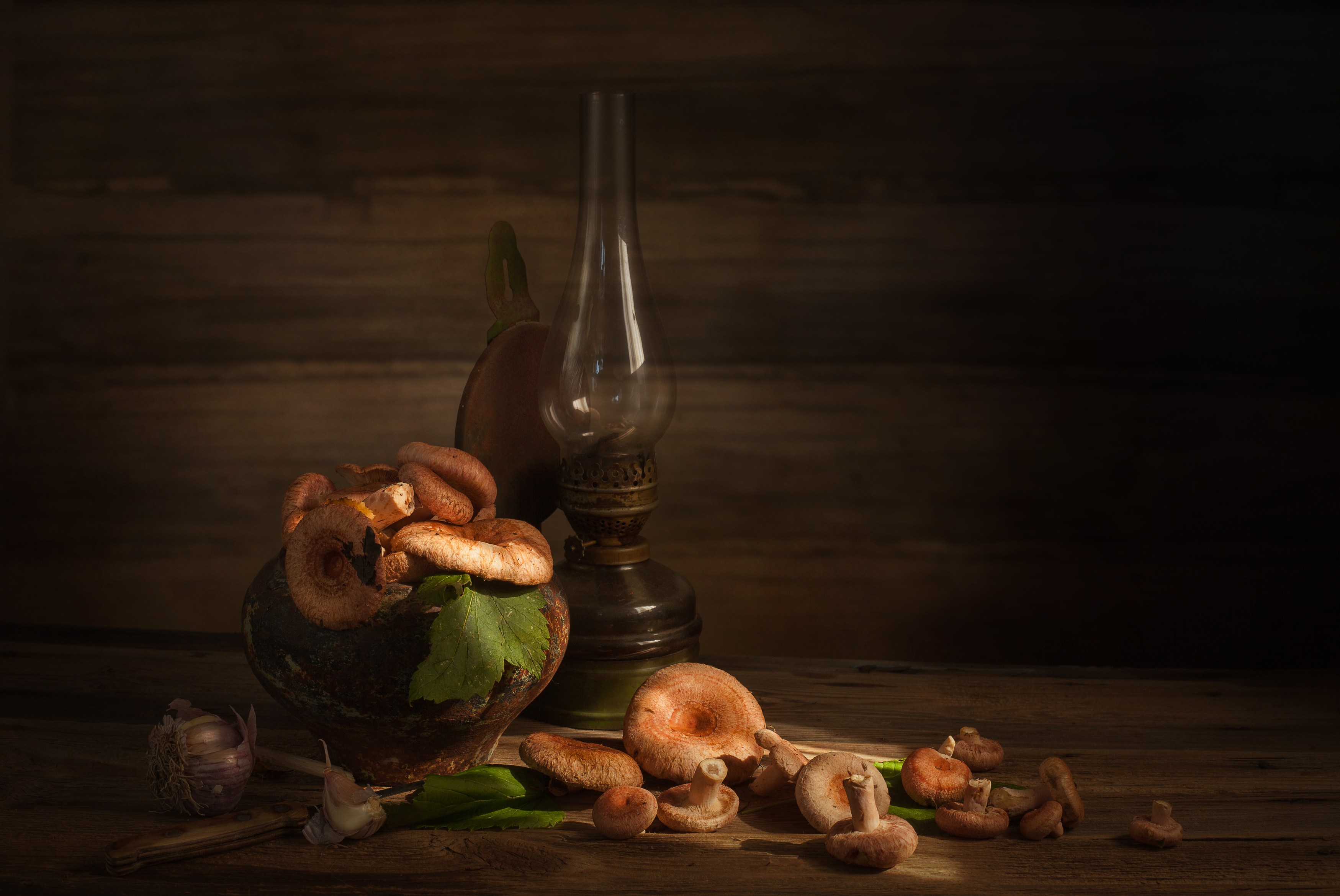 , Хвойнова Елена