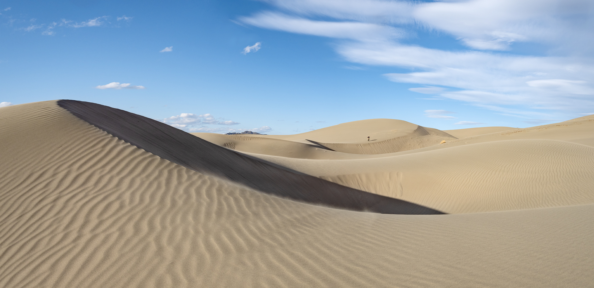 , Лещёнок Александр