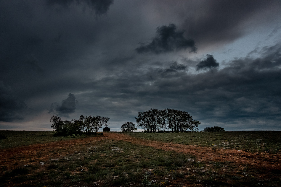 , Андрей Гусаченко