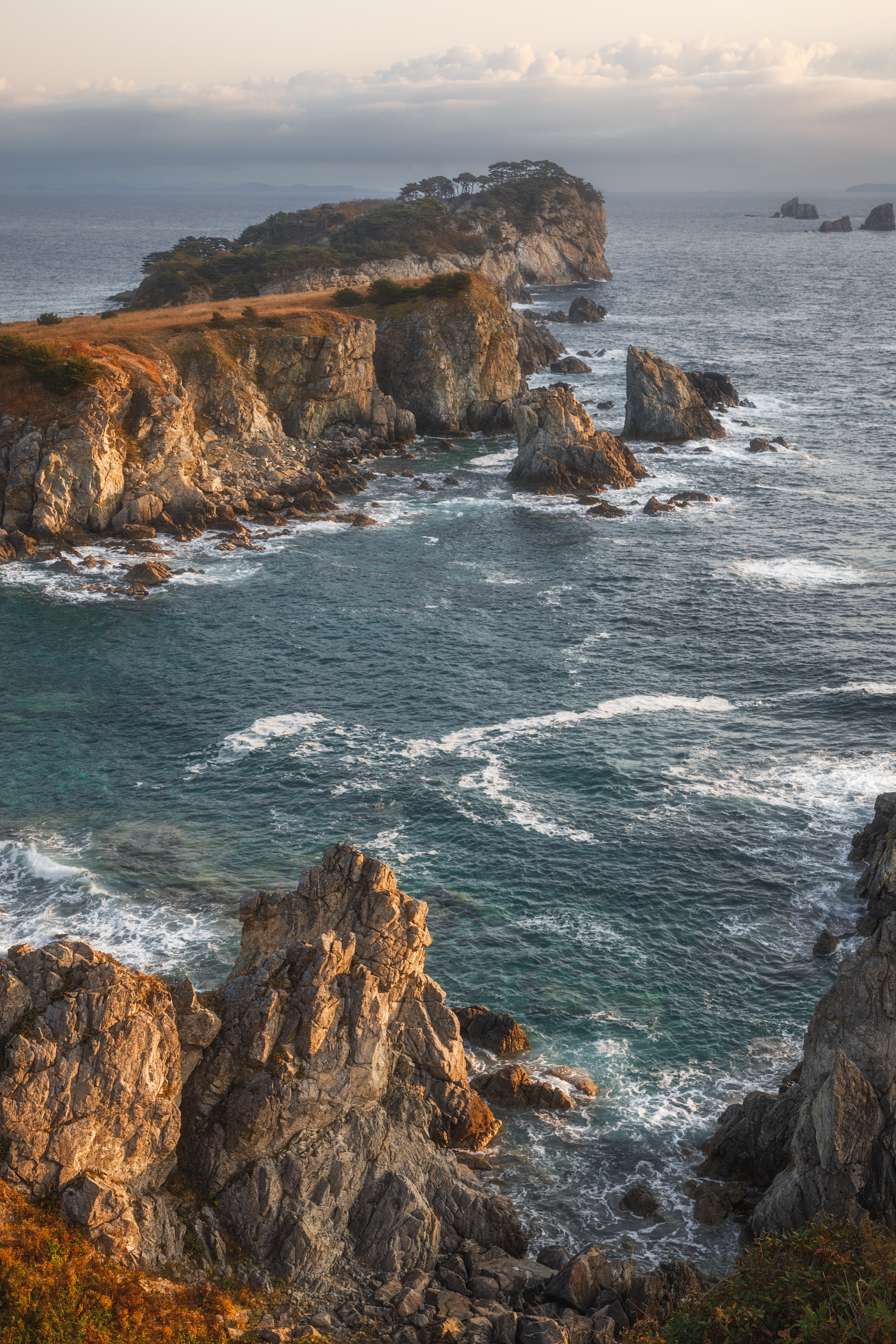 Приморье, Приморский край, Александр Писарев