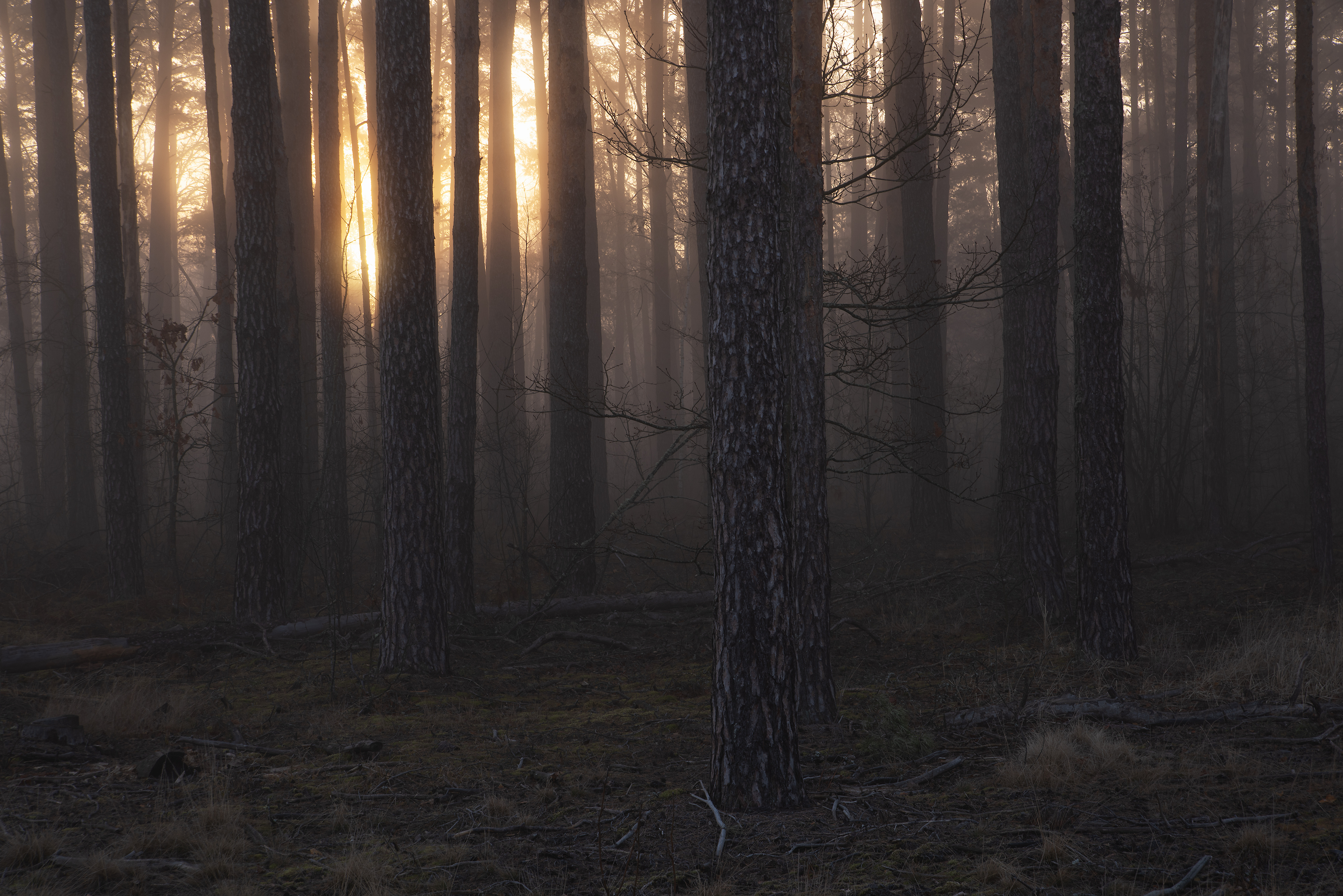 , Захаров Дмитрий