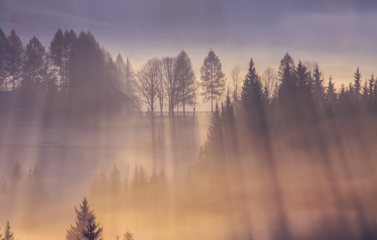 туман деревня утро пейзаж, Мурзинов Виктор