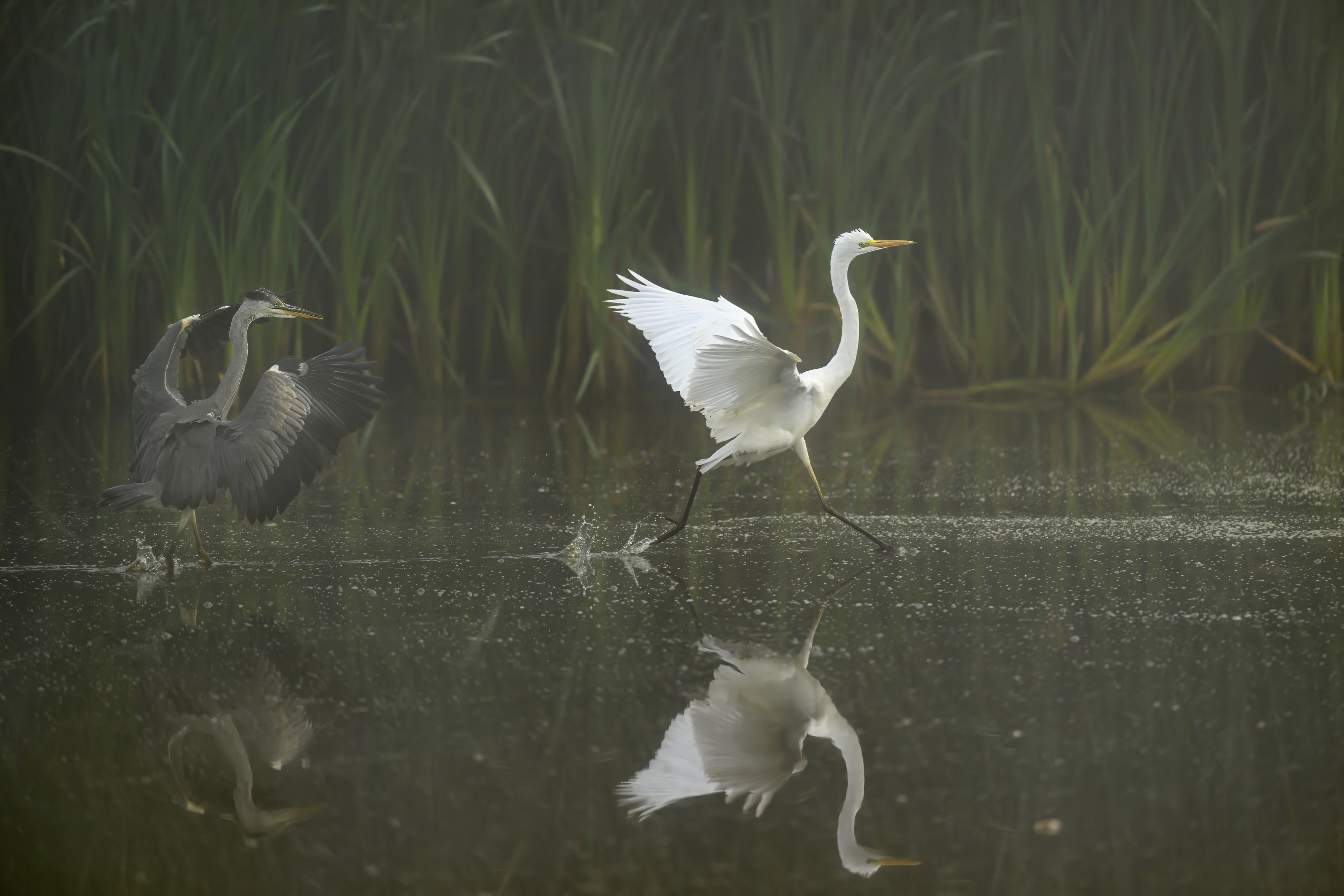 , Пупонин Сергей