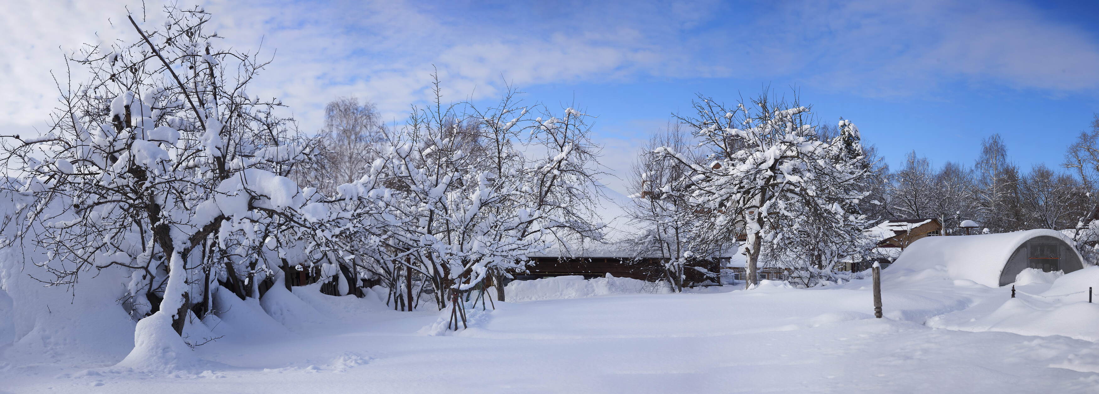 , Владимир Краснов