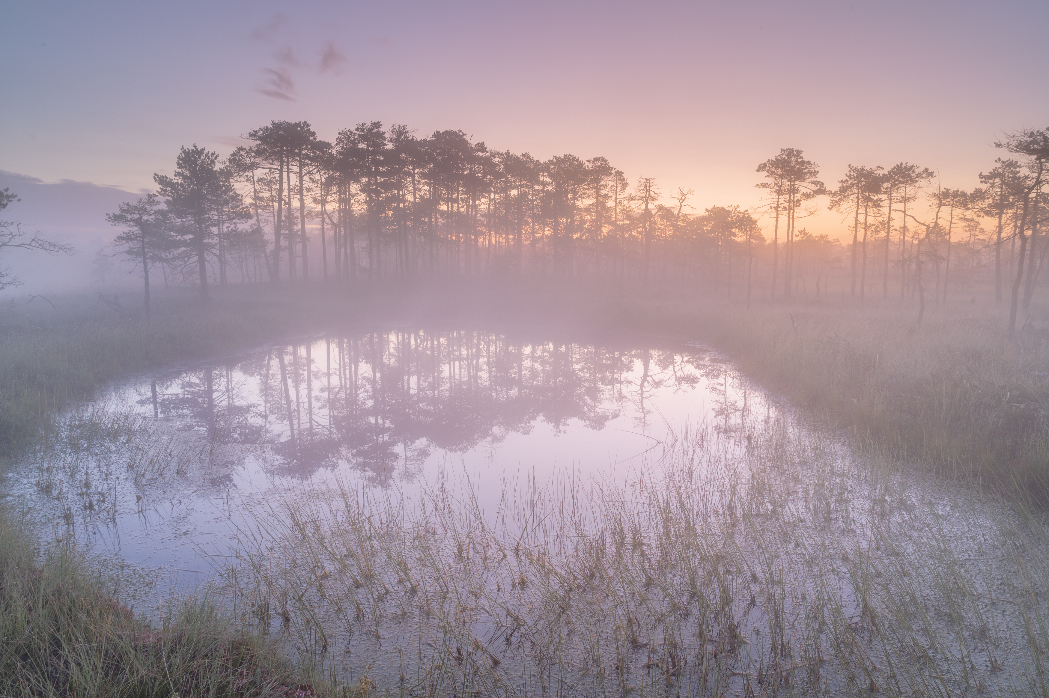 #санкт-петербург, Brouer Alexey