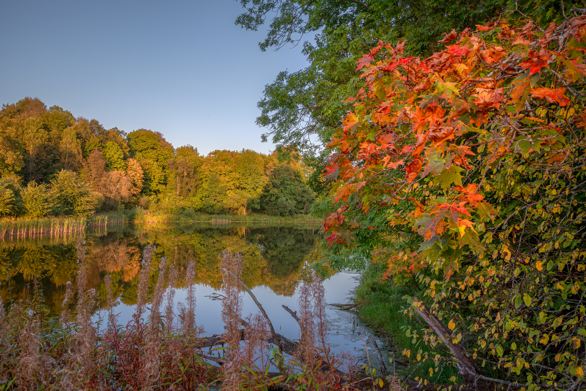 , Сережин Сережа