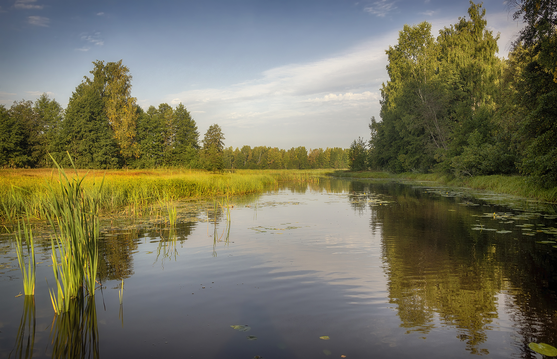 , Сергей Аникин