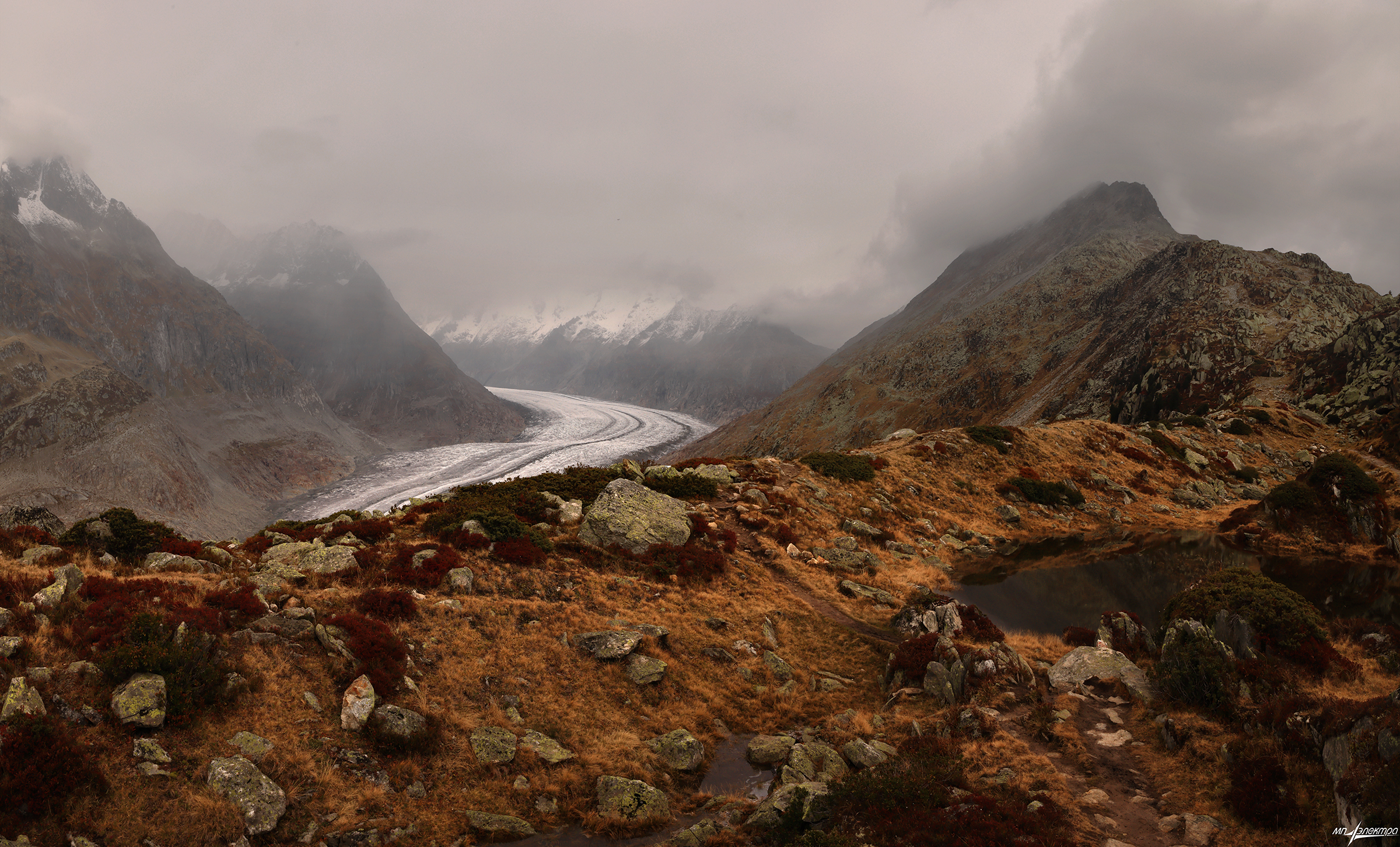 swiss, Матвеев Николай