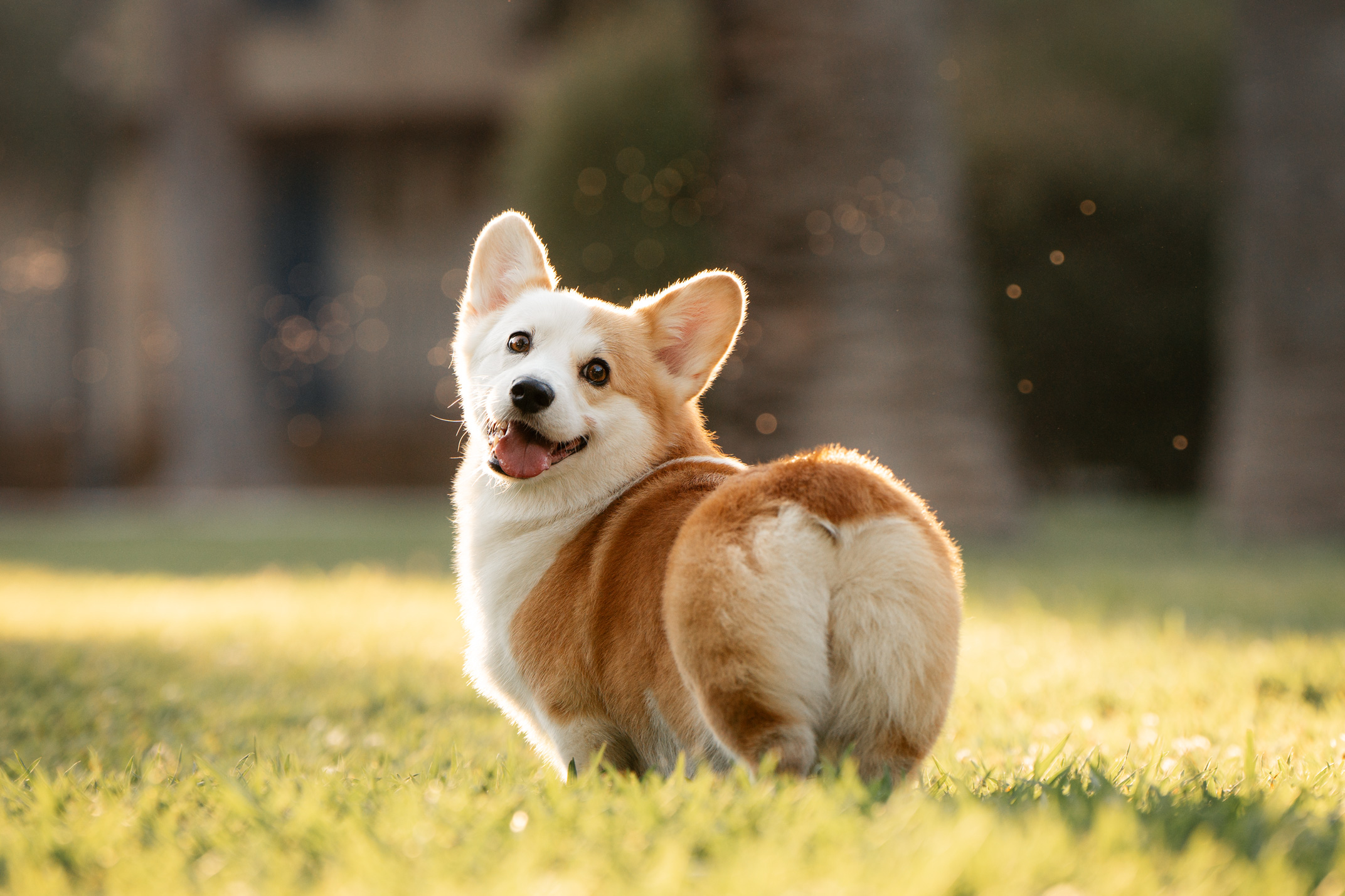 , Андрианова Ирина