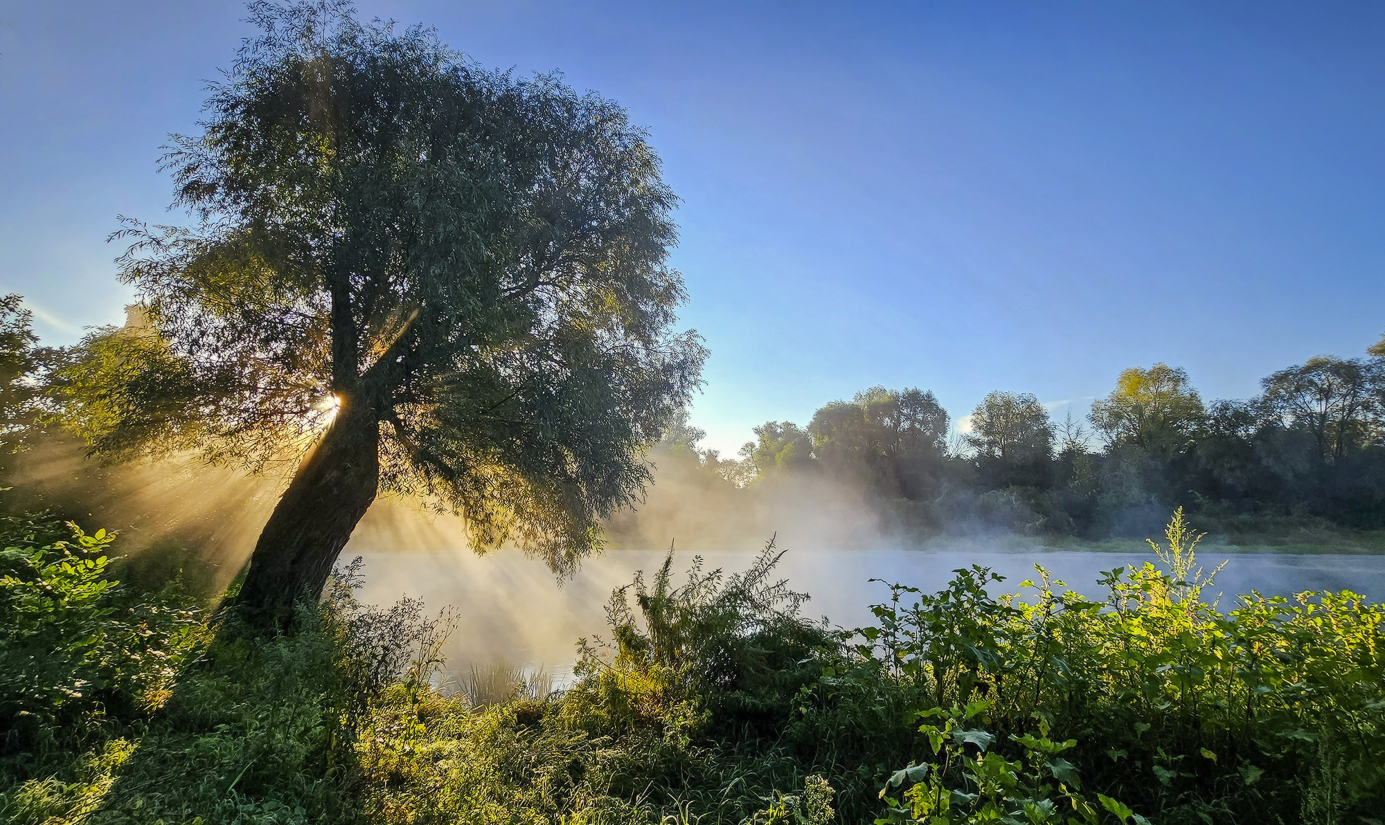 , Пирог Борис