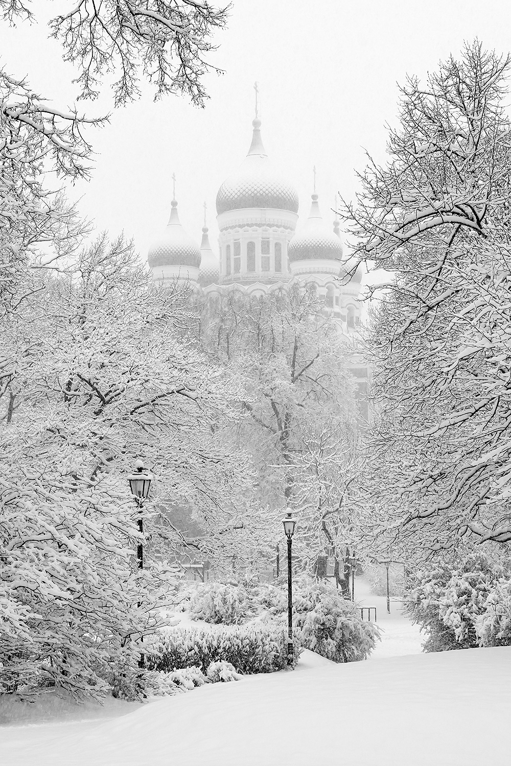 , Абросимов Александр