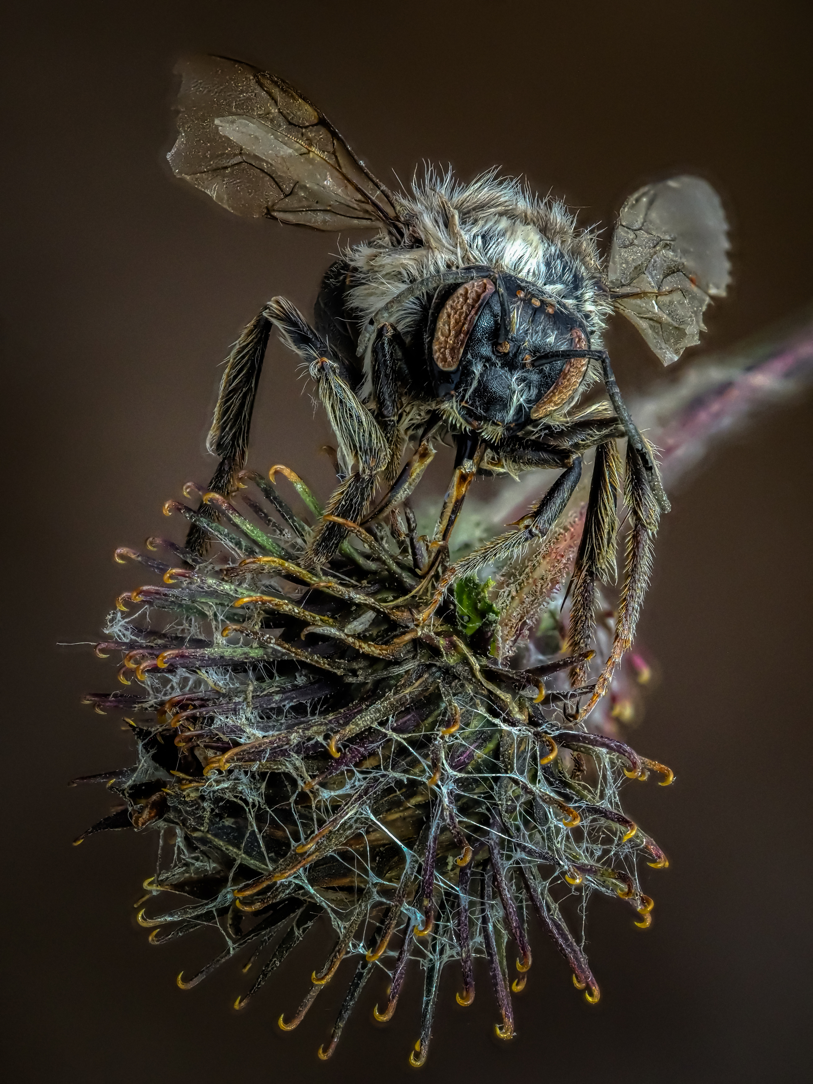 , Олег Савицкий