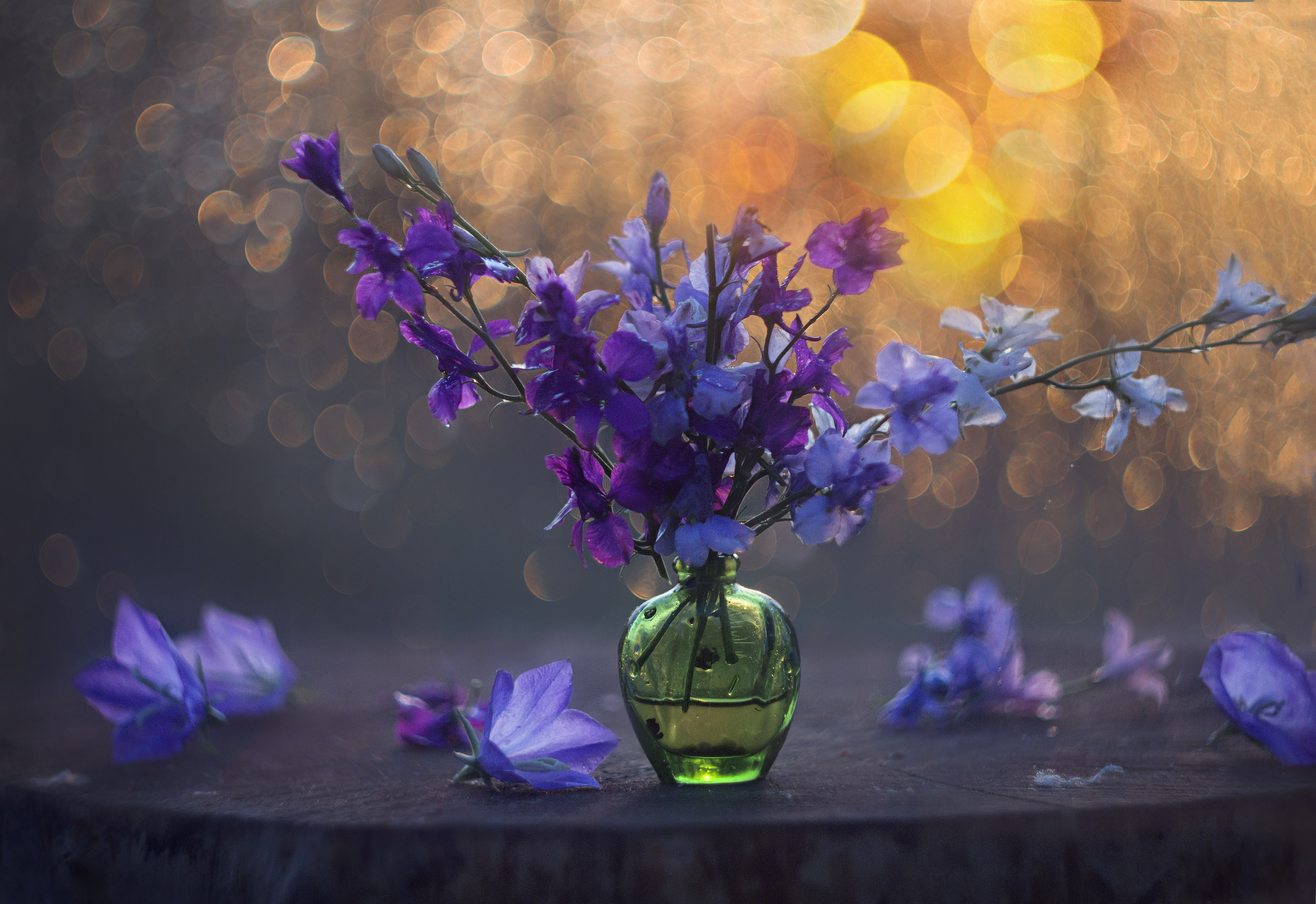 закат, цветы, боке, колокольчики, Зимина Лионелла