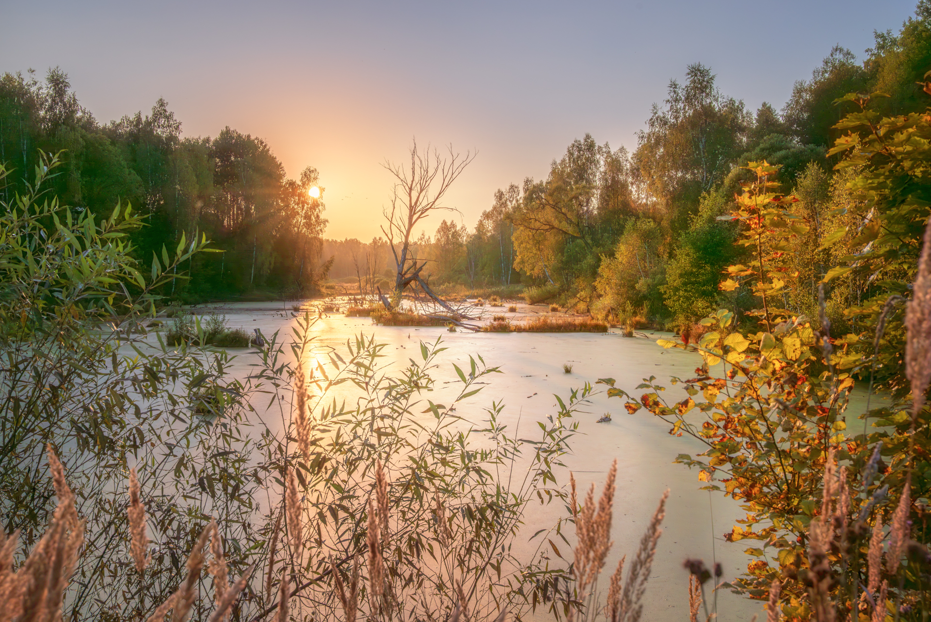 , Сережин Сережа