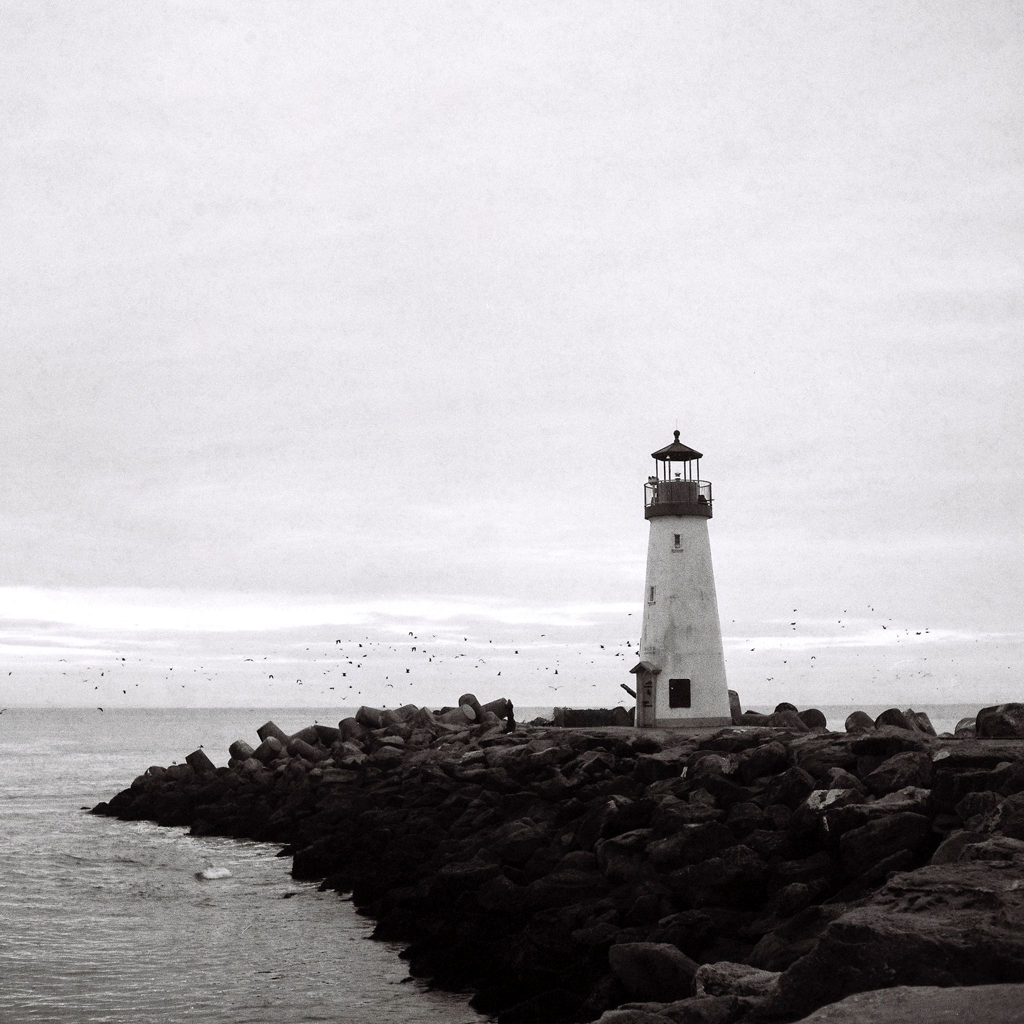 lighthouse, landscape, seascape, photography, black, white, monochrome, coastal, ocean, sea, rocks, birds, minimalist, atmospheric, moody, nature, architecture, maritime, beacon, waves, horizon, peaceful, serene, nautical, stones, sky, clouds, contrast, c, Erik Rozman