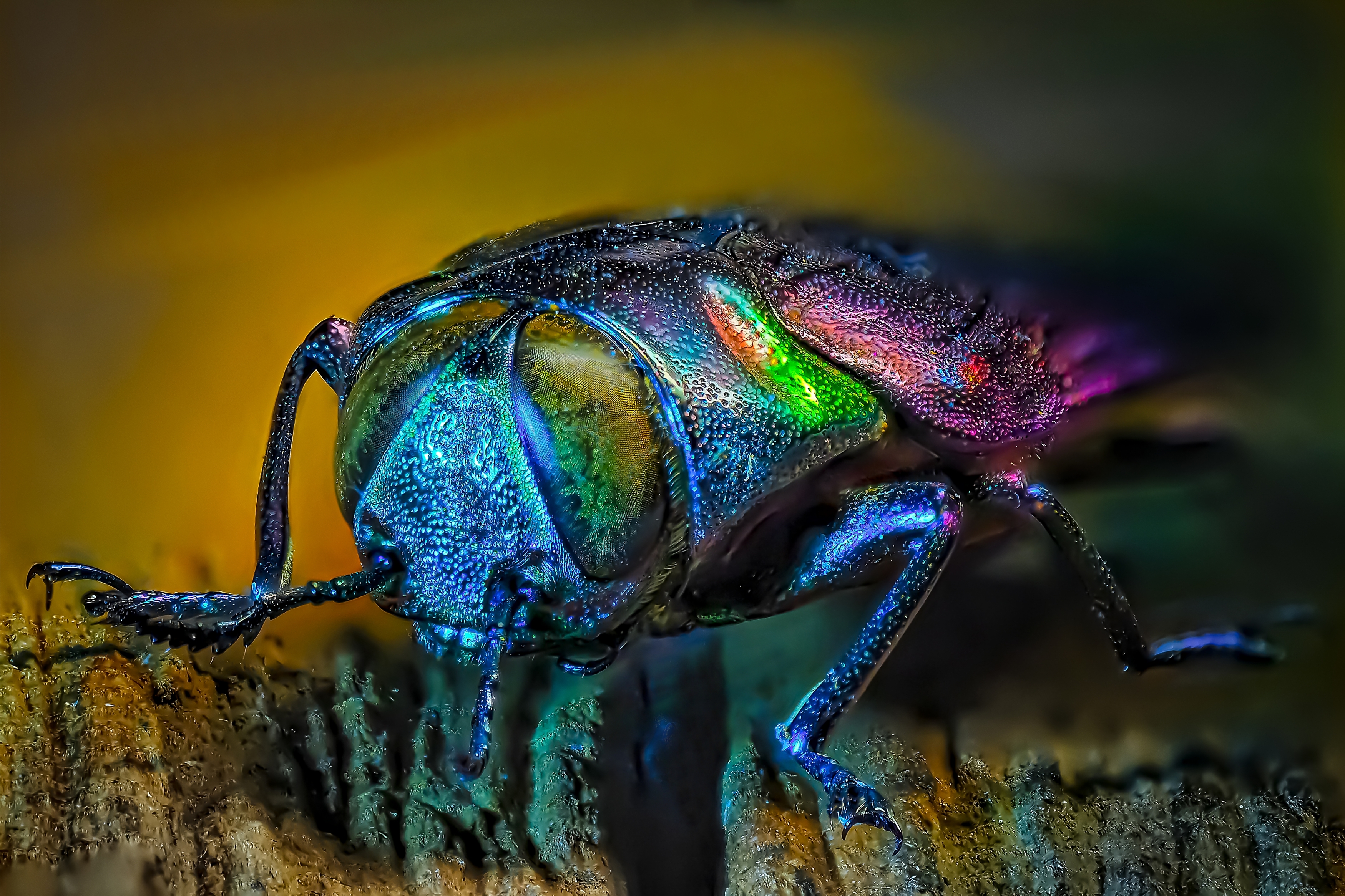 , Савчук Анатолий