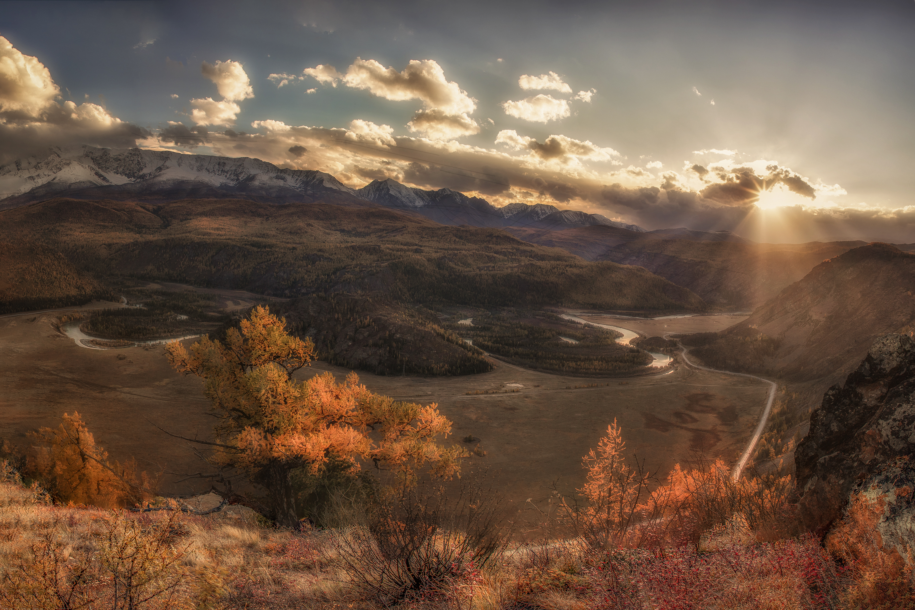 Алтай, Гусева Елена