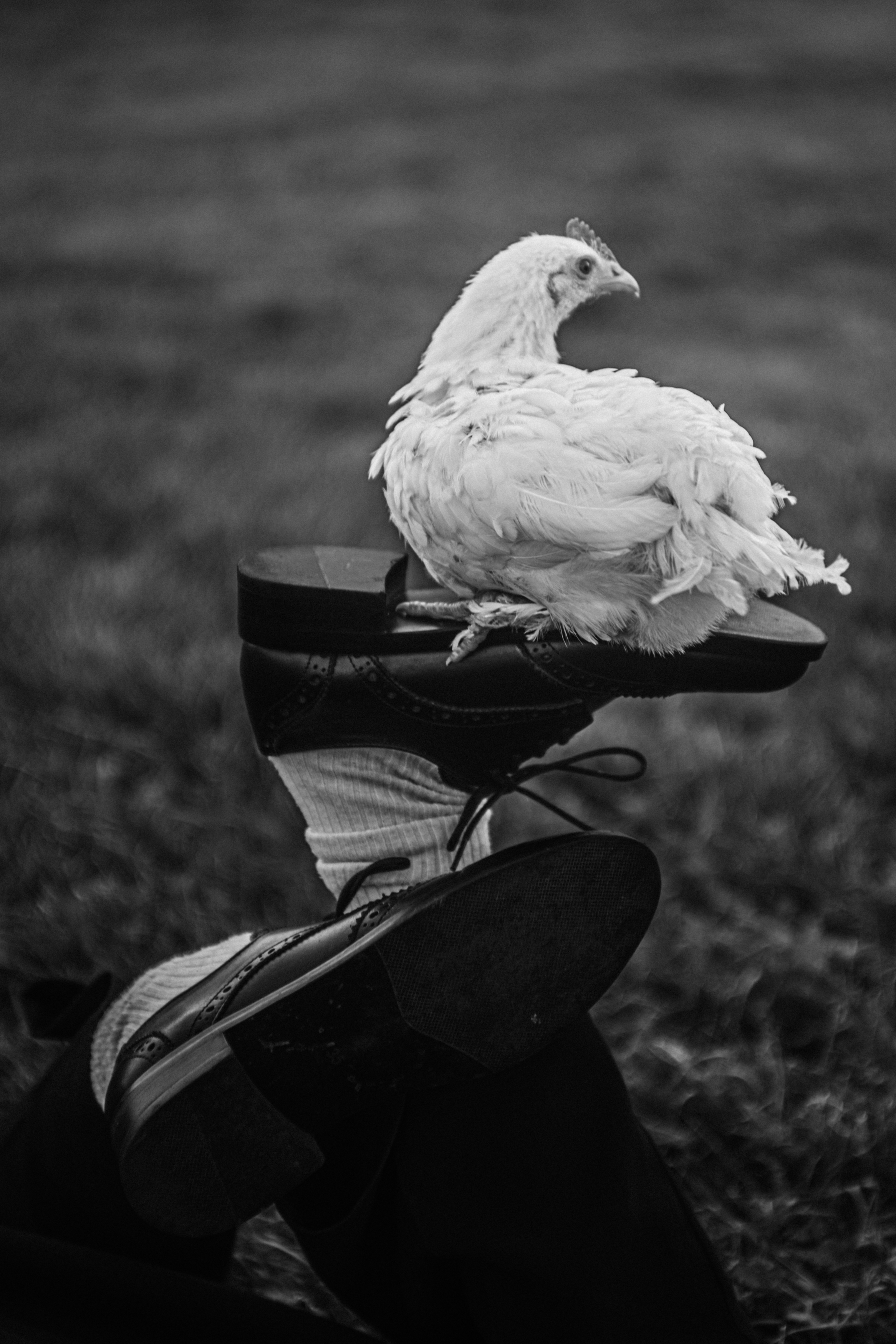 , Щеглова Марина