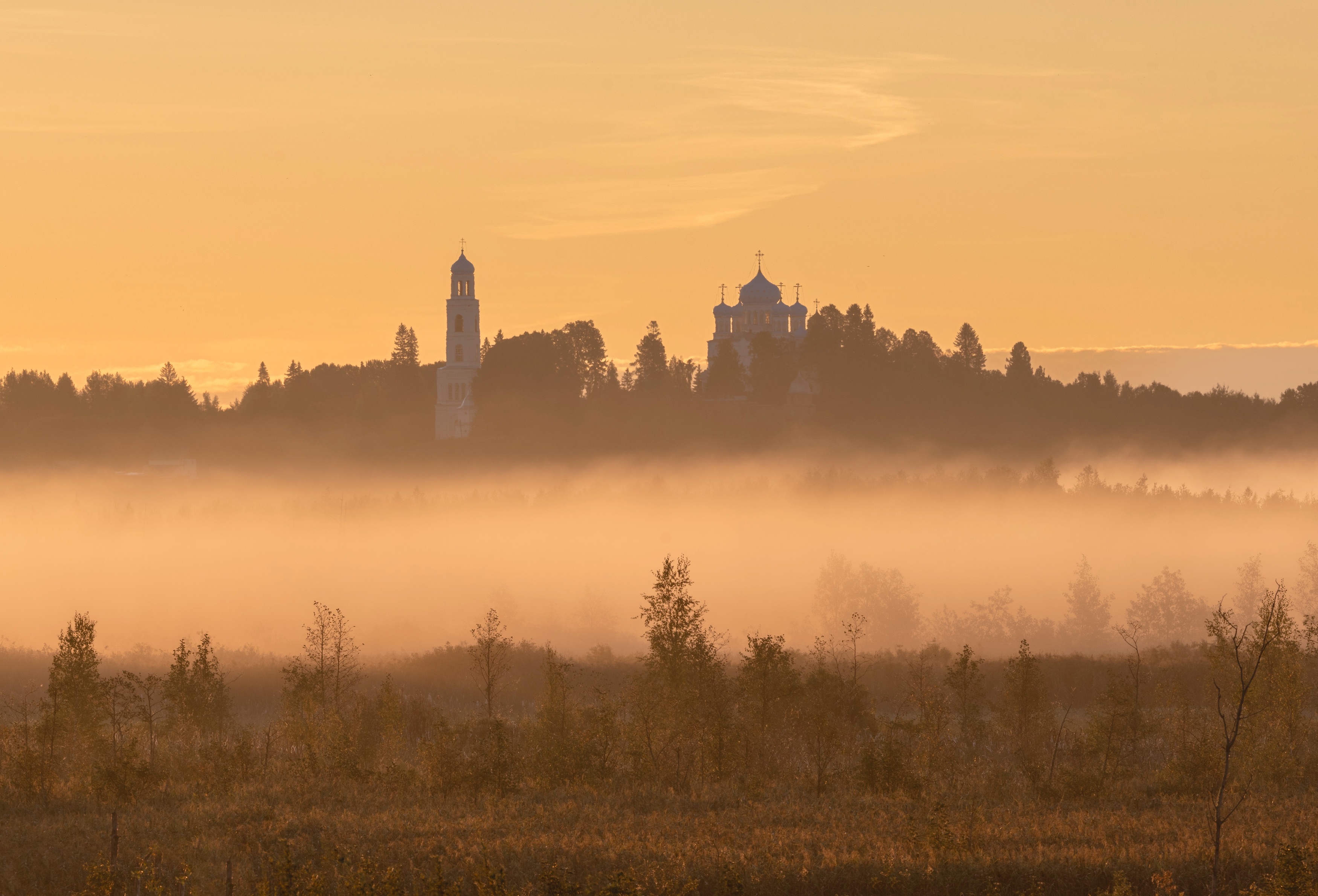 , Владимир Заикин