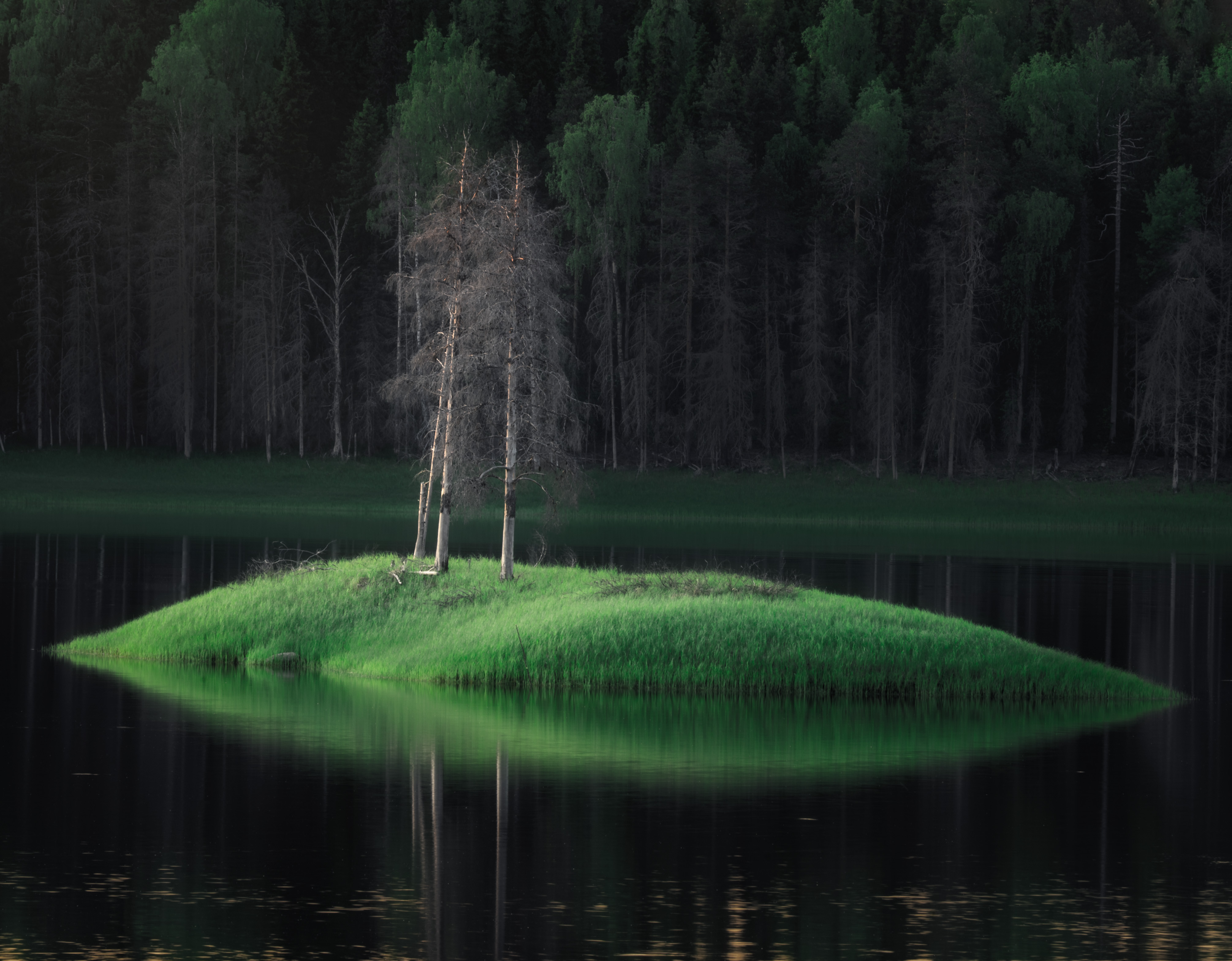 , Алексей Турчин