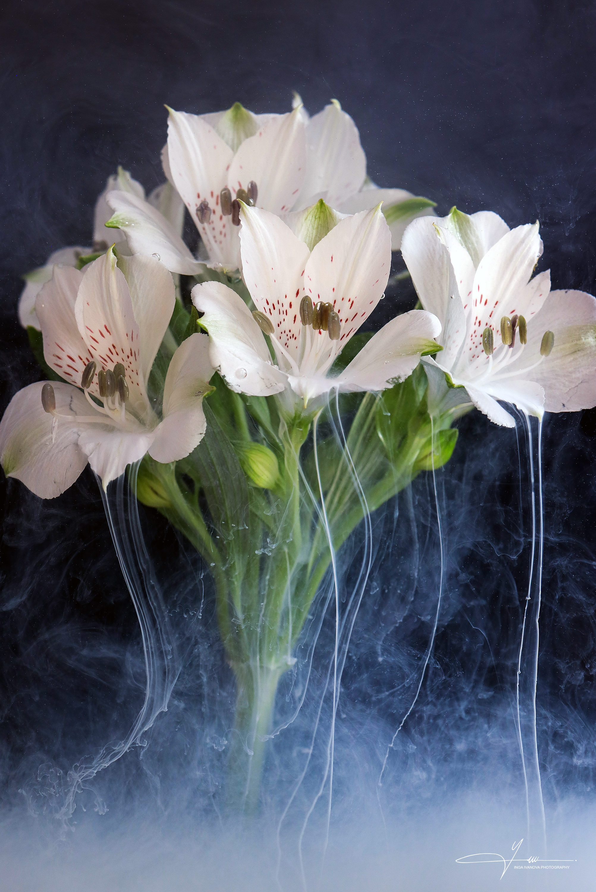 , EPCA/B, P IAAP, GPU CR1 Inga Ivanova