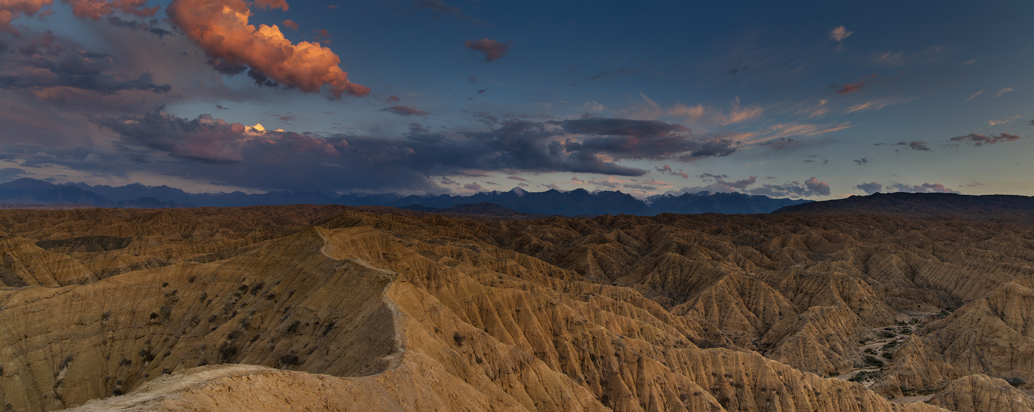 , Игорь Щербаков