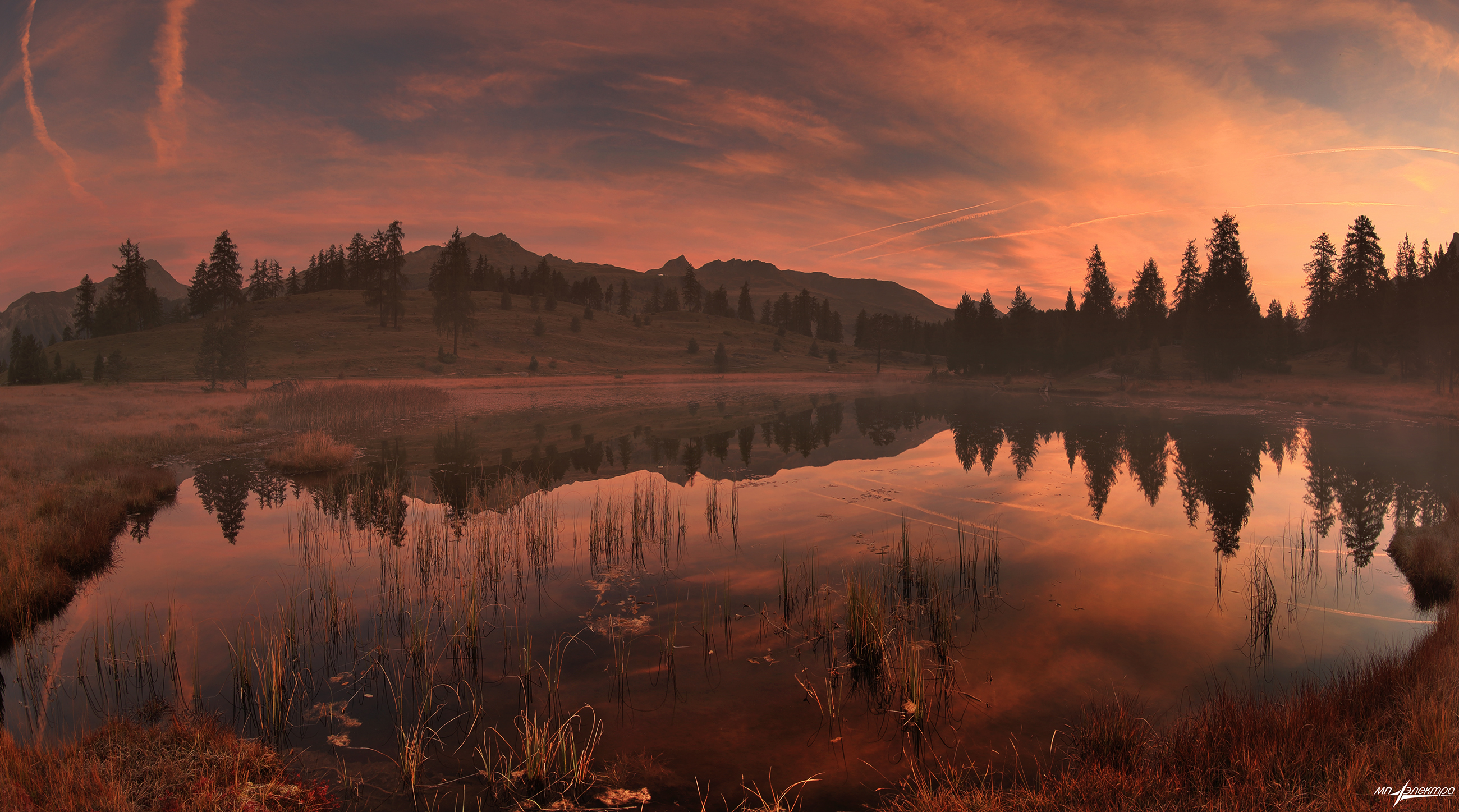 swiss, Матвеев Николай