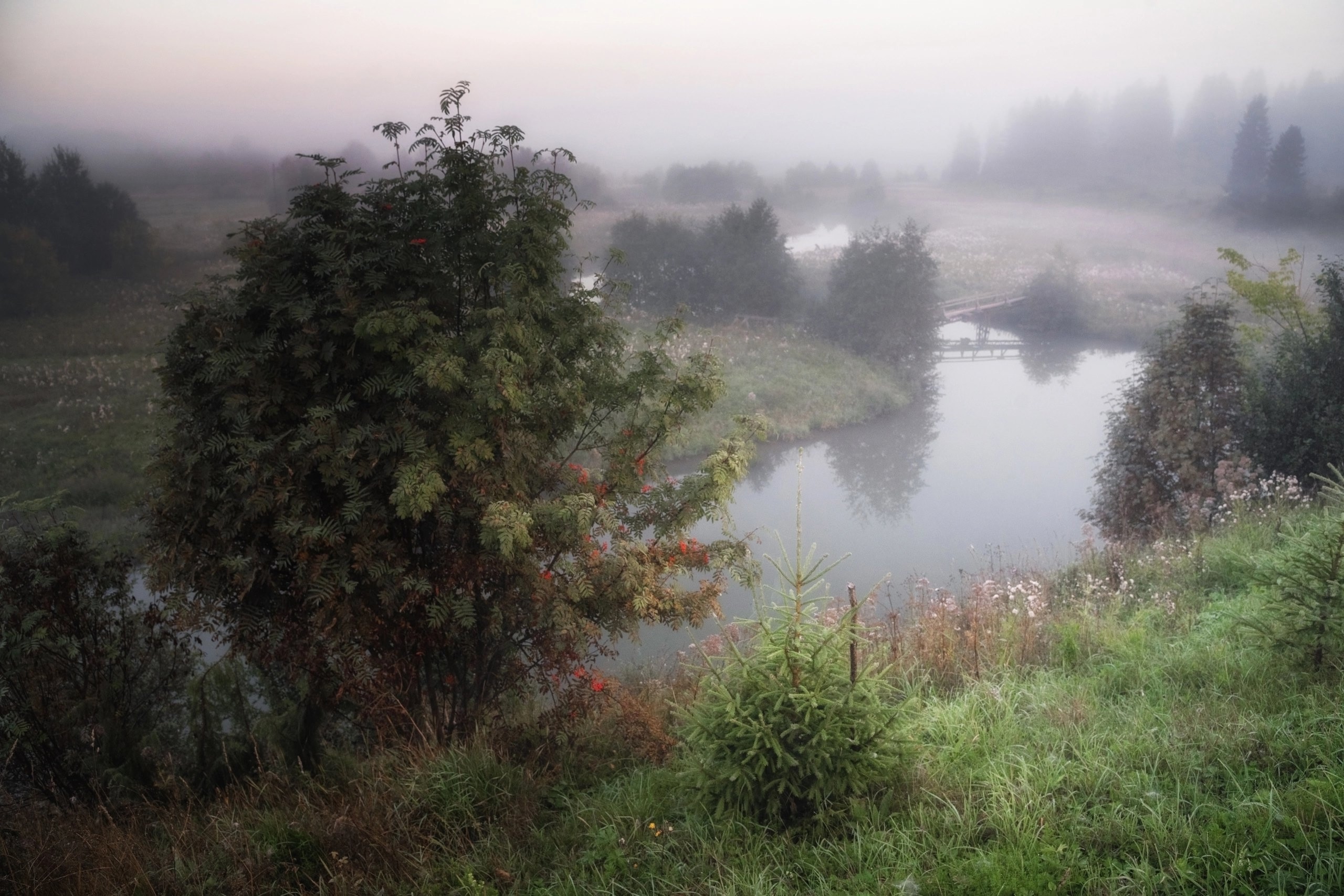 , Андрей Малыгин