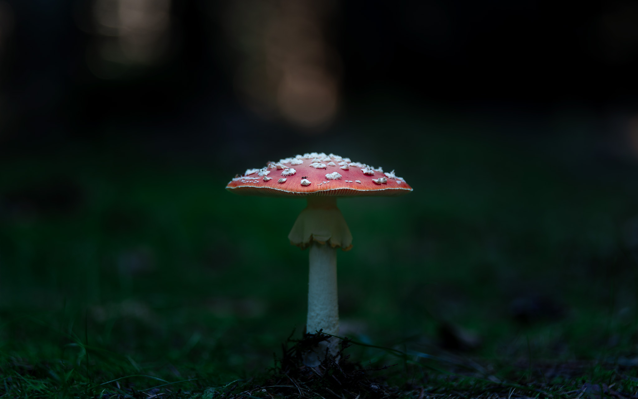 , Загруев Михаил