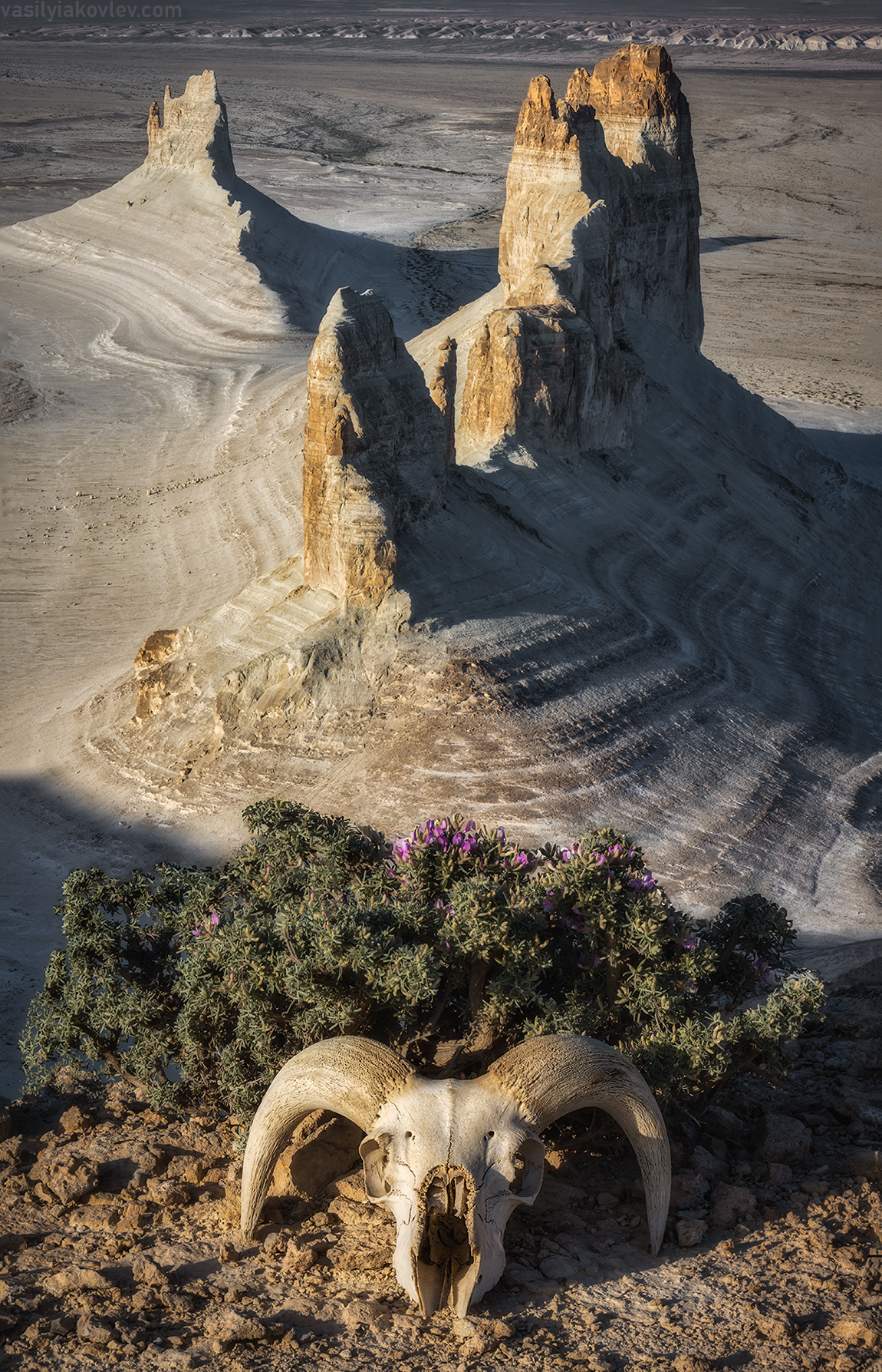 казахстан, фототур, яковлевфототур, мангистау, мангышлак, айракты, босжира, устюрт, карынжарык, тузбаир, торыш, туйесу, сенек, Василий Яковлев
