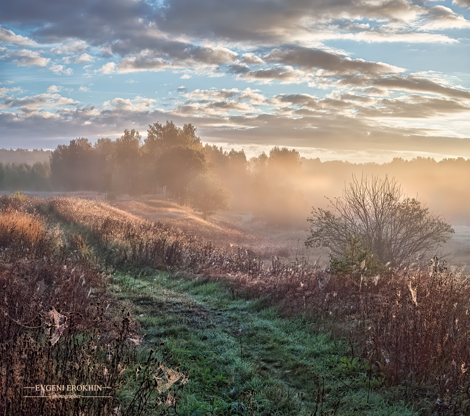 , Евгений Ерохин