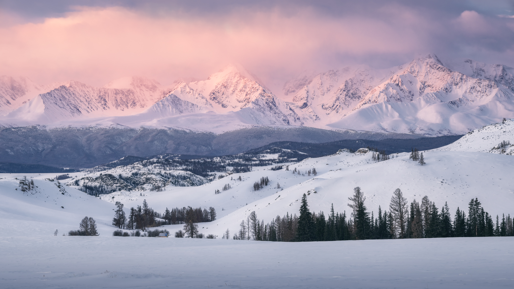 snow, mountain, outdoors, nature, winter, landscape, blue, pink, cloud, sky, sunrise, altai, рассвет, пейзаж, горы, алтай, снег, небо, природа, горный алтай, Андрей