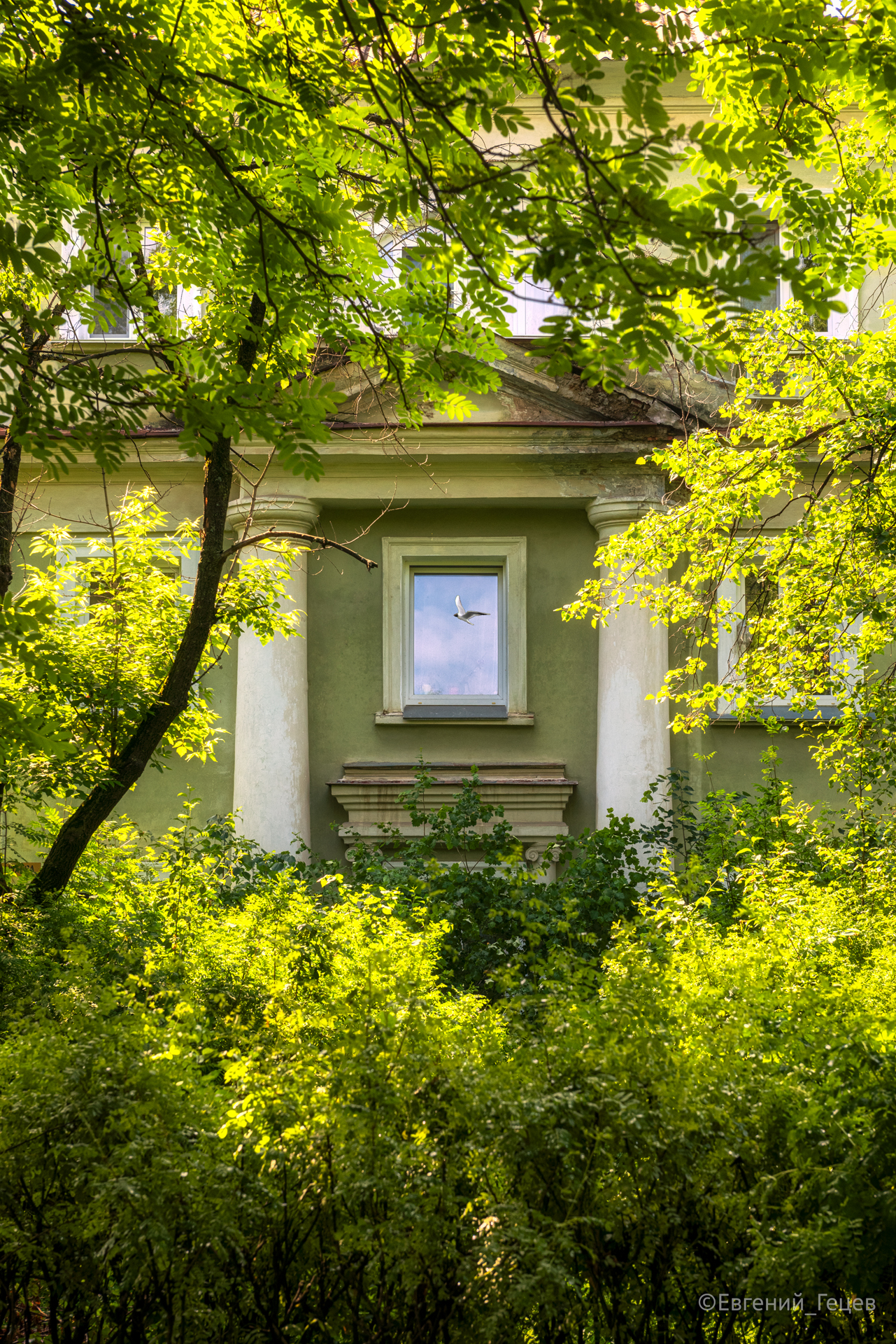 город, дом, окна, отражение, Евгений Гецев