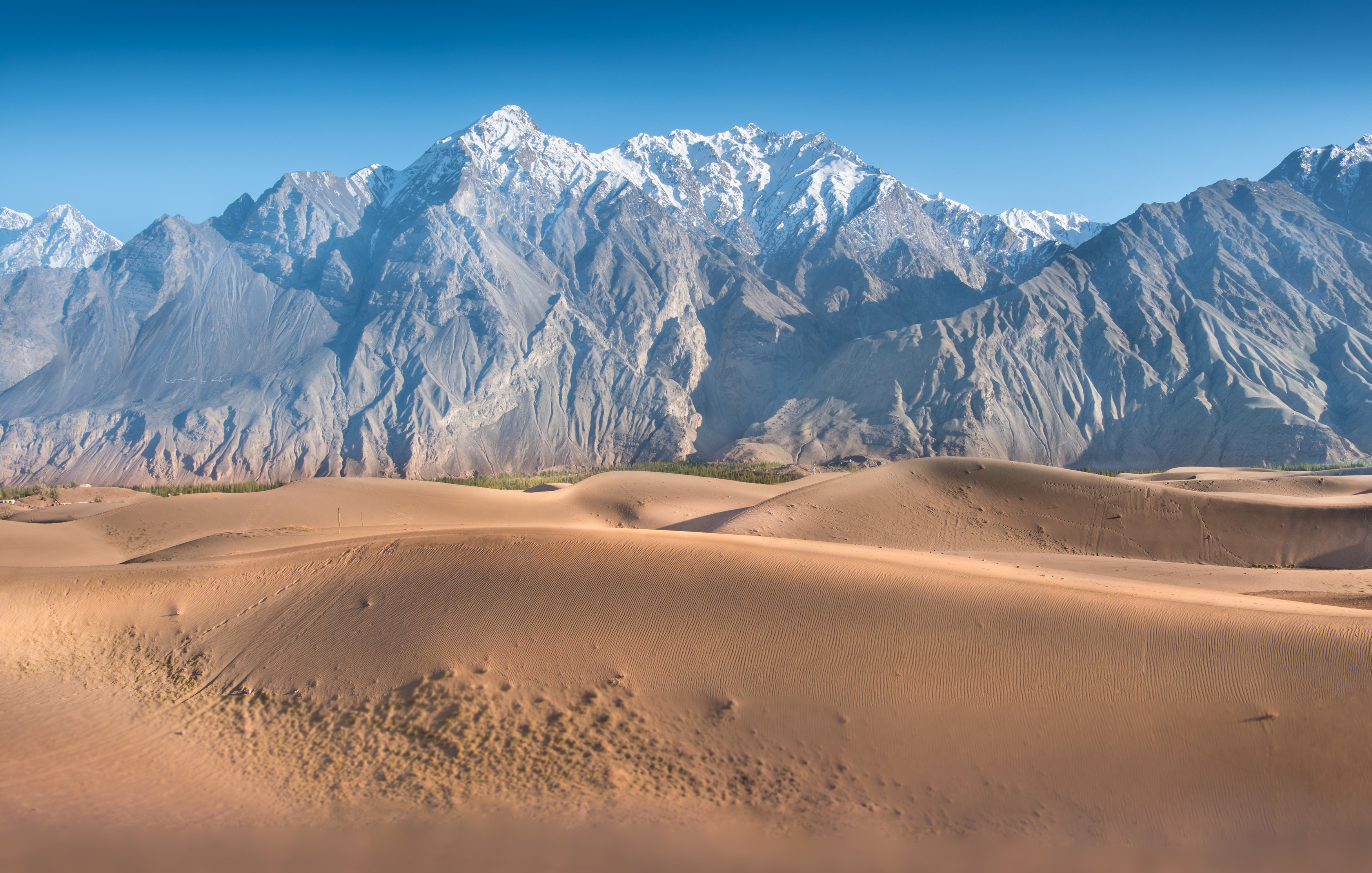 пакистан, скарду, катпана, холодная пустыня, пустыня, дюны, pakistan 2025, нд, pakistan, karakorum, каракорум, katpana desert, Демкина Надежда