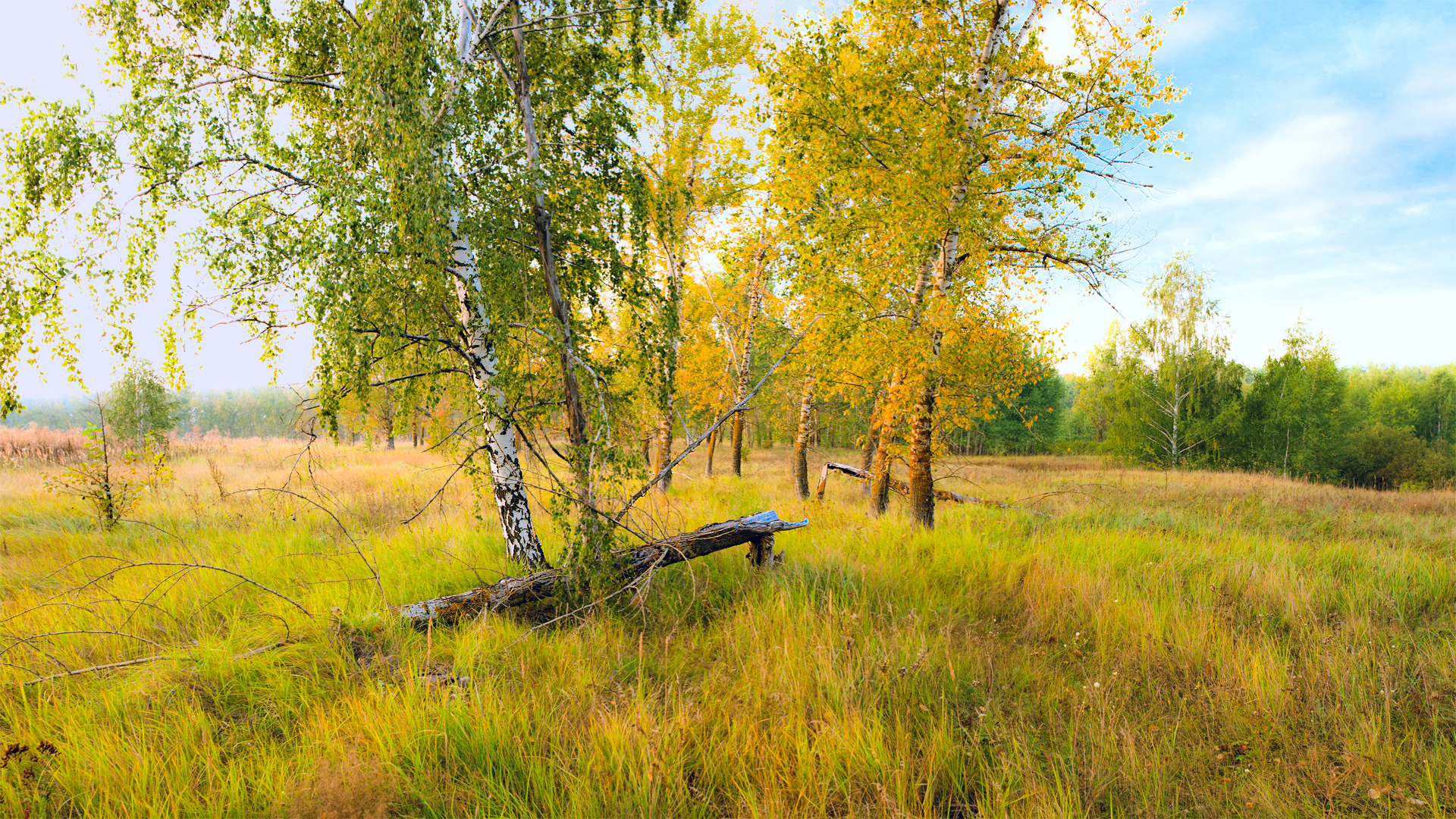 , Рукин Иван