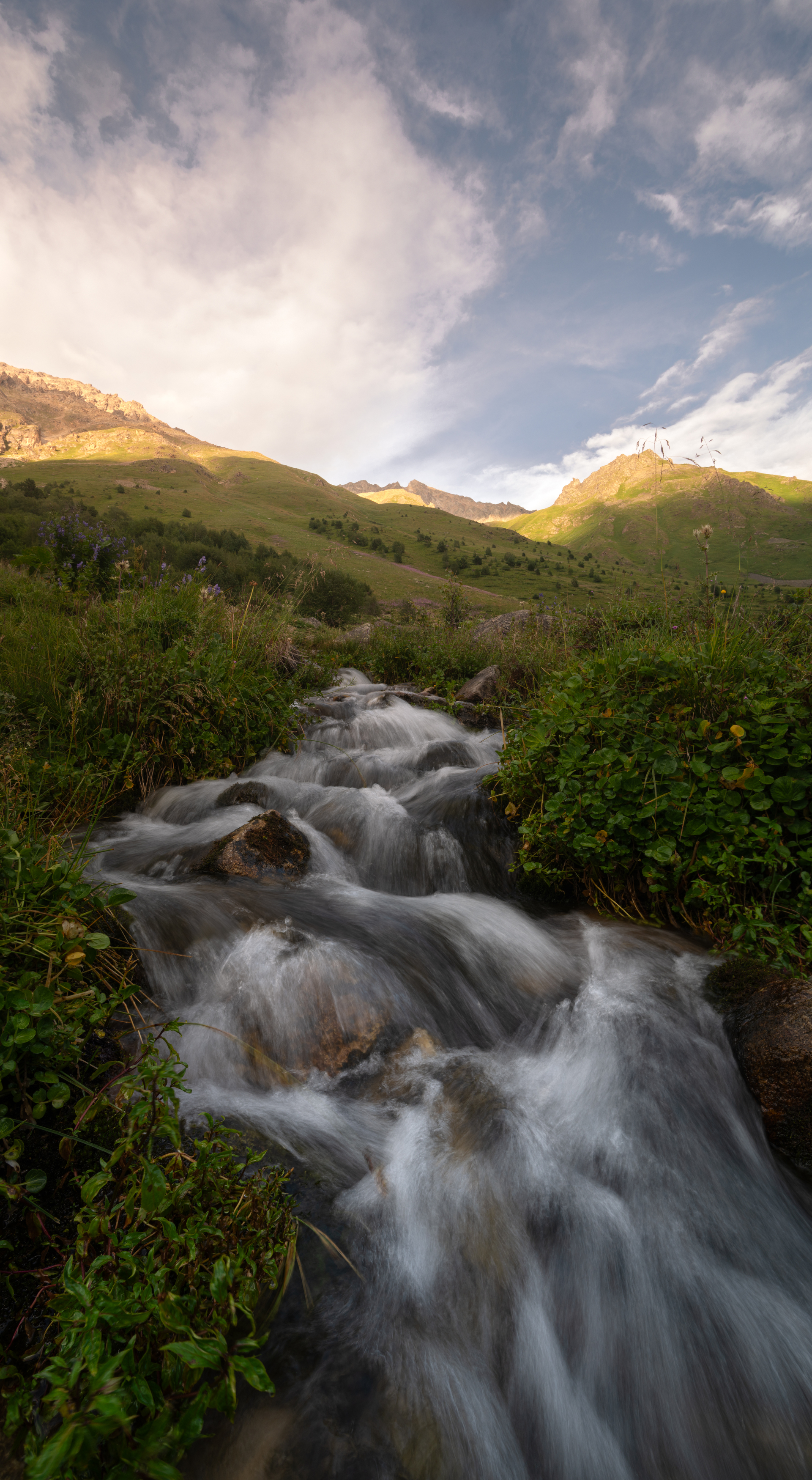 , Кузнецов Семён