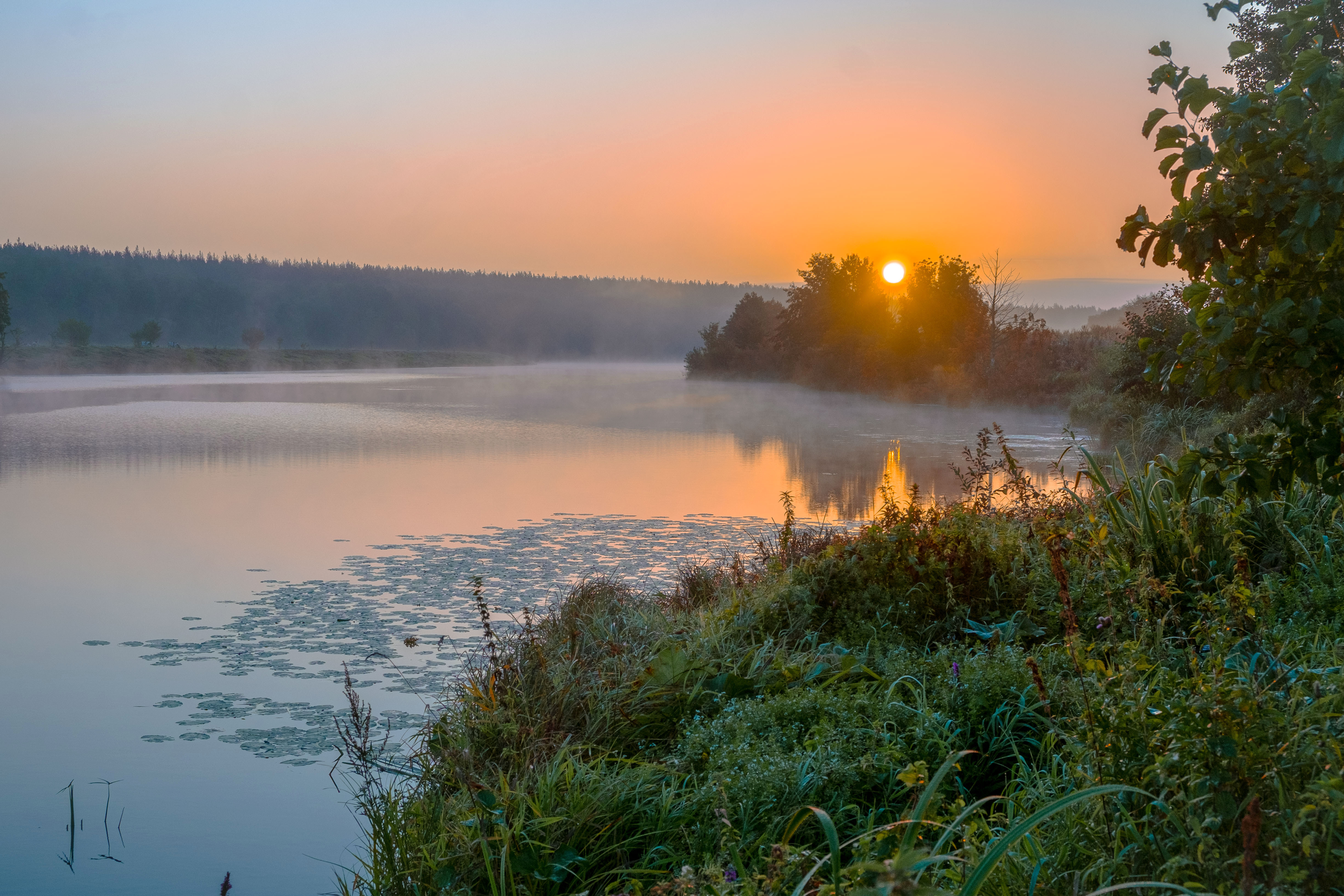 осень утро озеро отражение природа пейзаж, Александр Строков