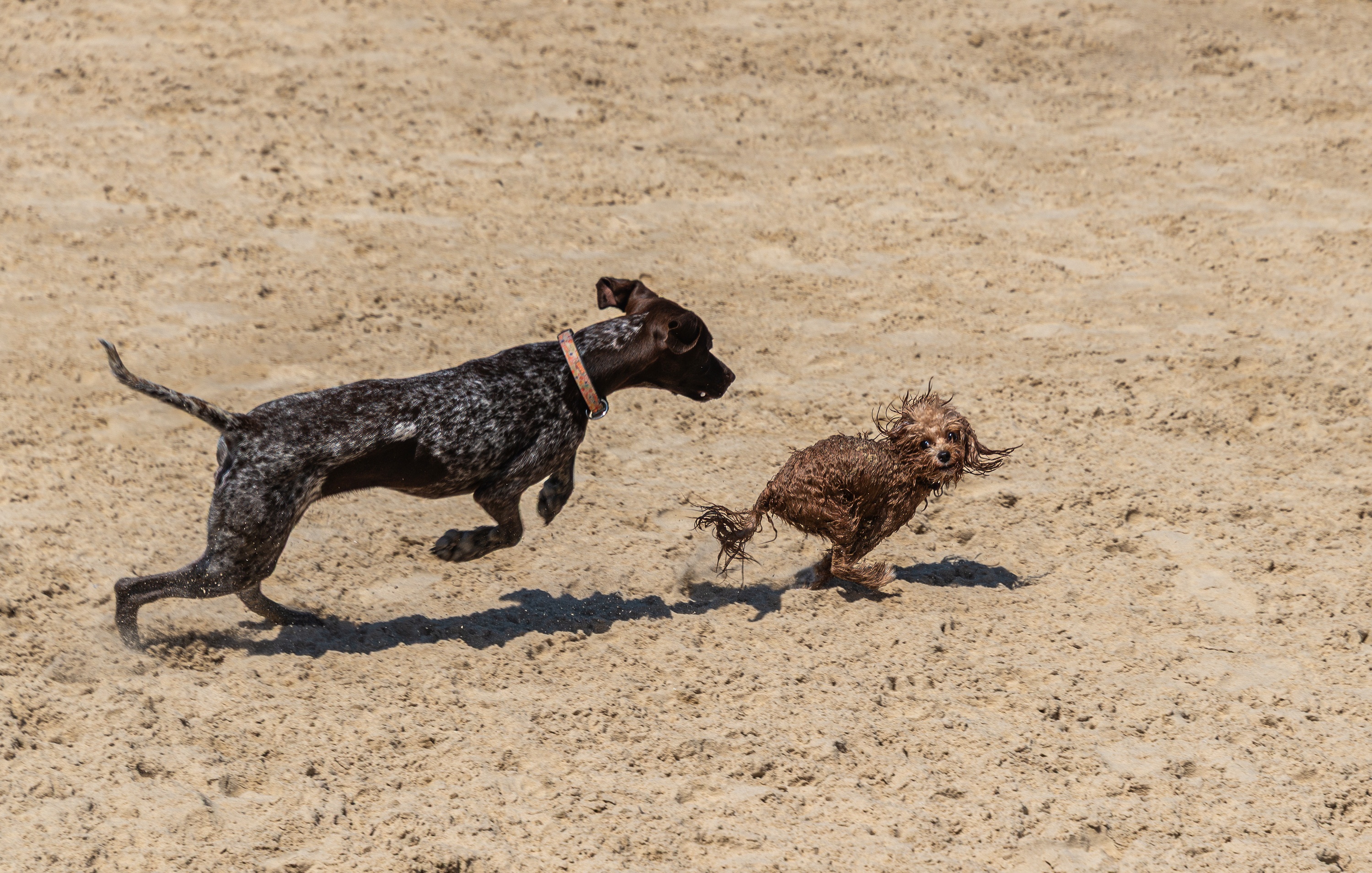 , Vladimir Bragilevsky