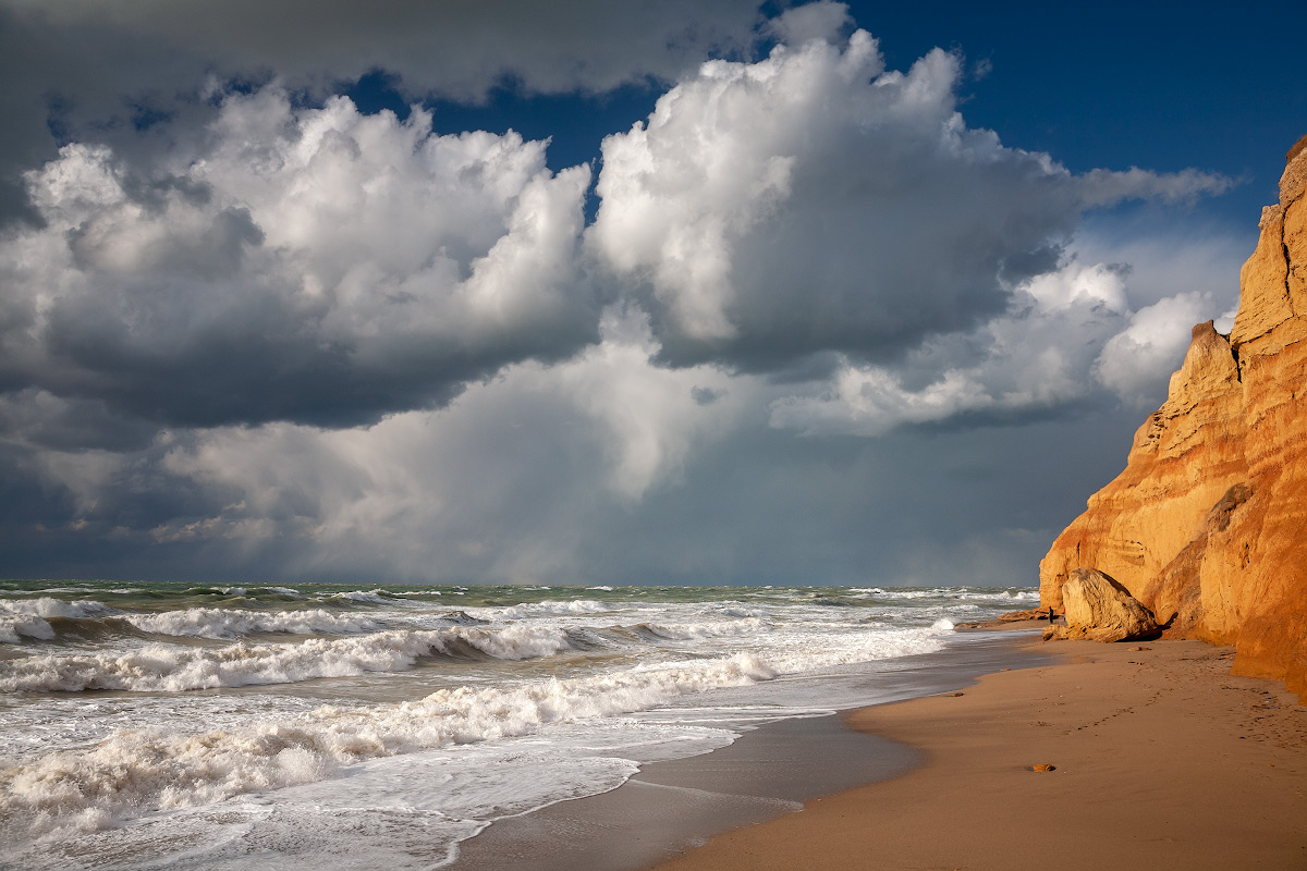 , Андрей Гусаченко
