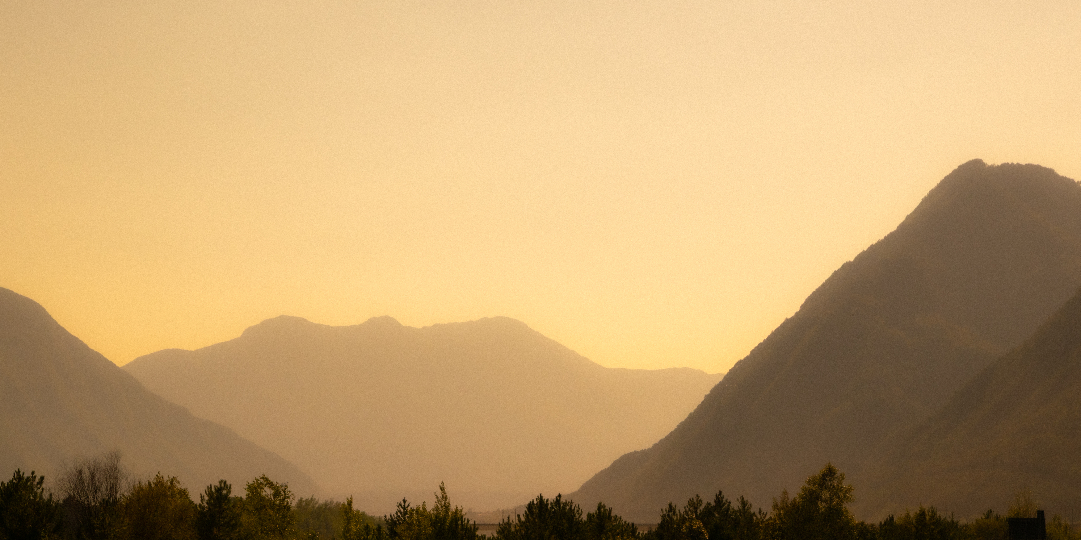 , Александр Шандов