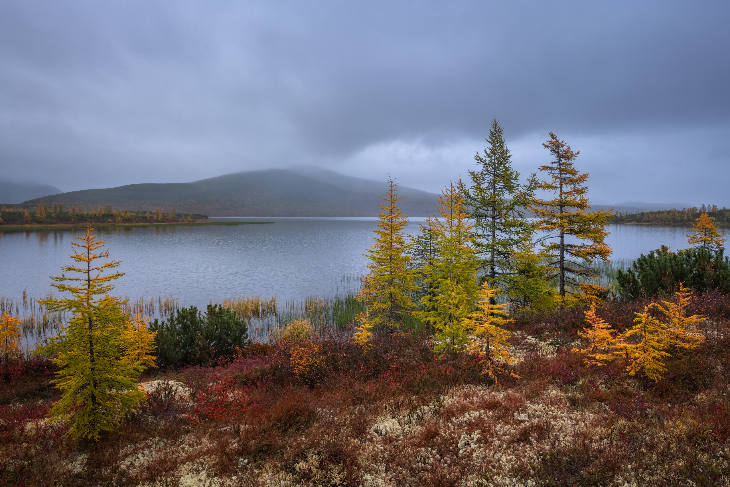 , Евдокимов Максим