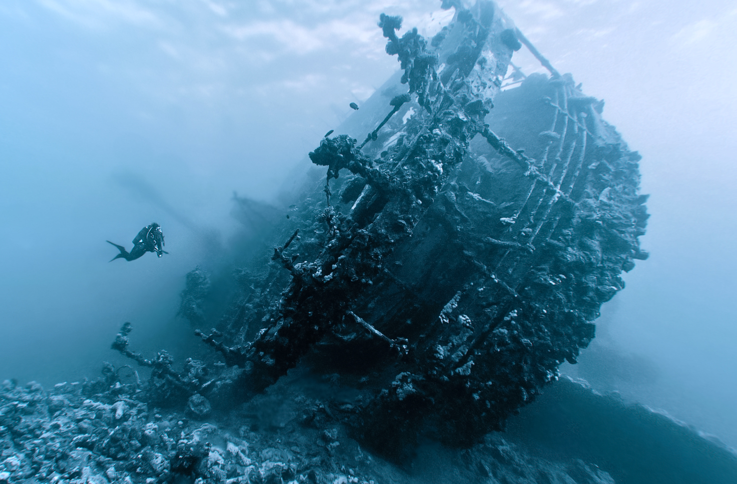 , Лисицын Сергей