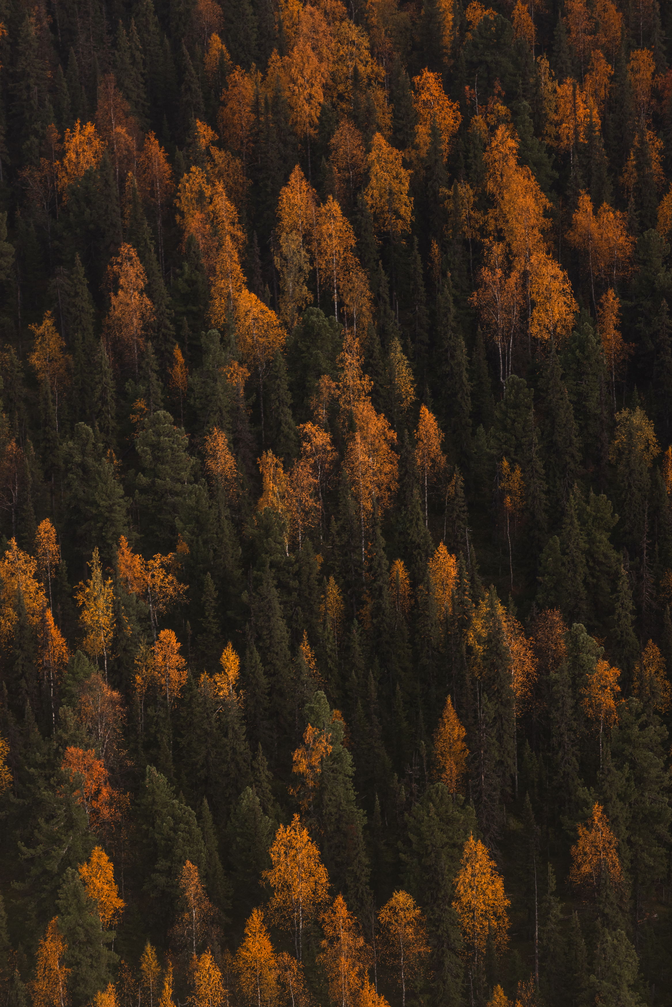 , Konstantin Morozov