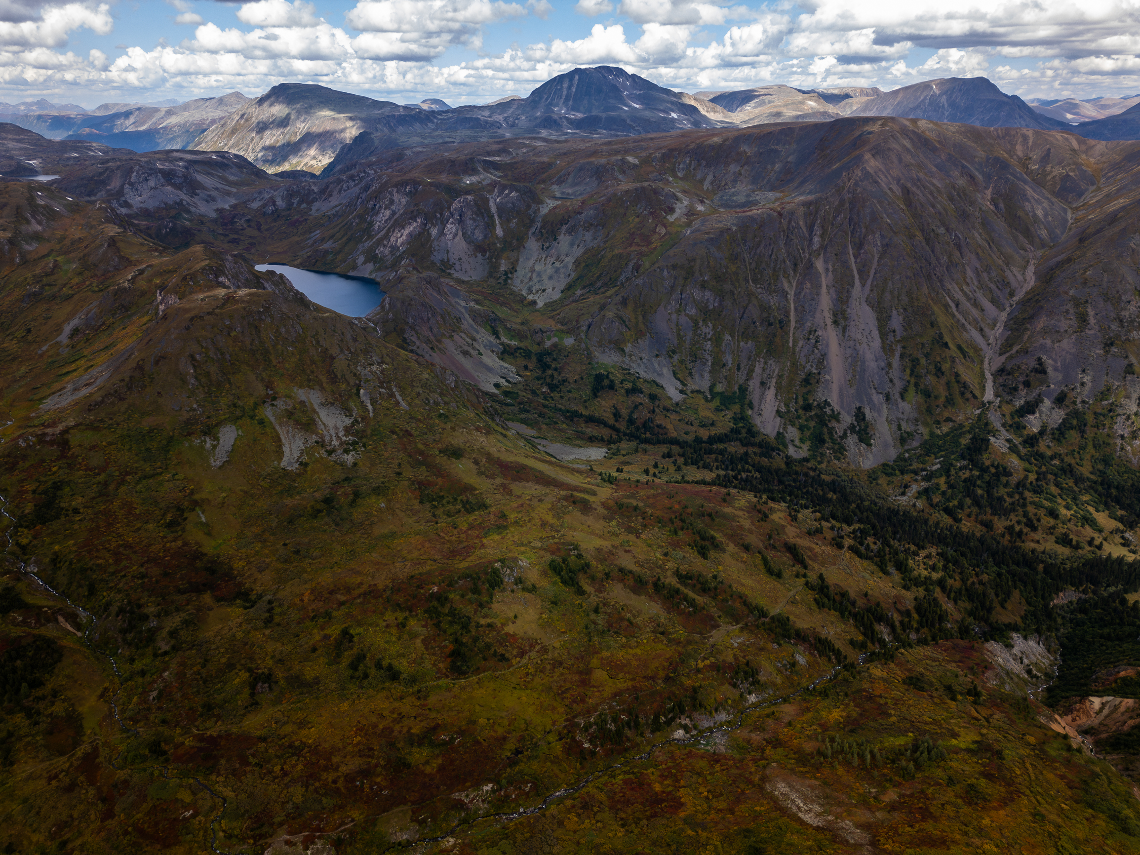 , Баландин Дмитрий